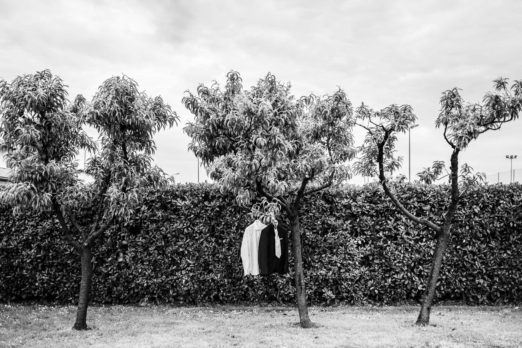 Foto  Borgoricco Symposio / Loreggia Elena e Alberto