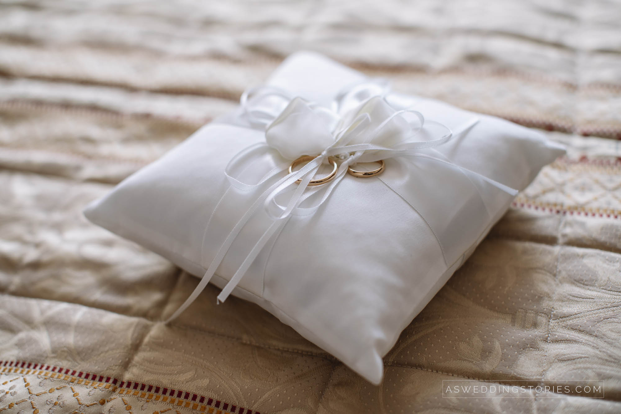 Foto  Scorzé Filanda Motta a Campocroce di Mogliano Sara e Roberto