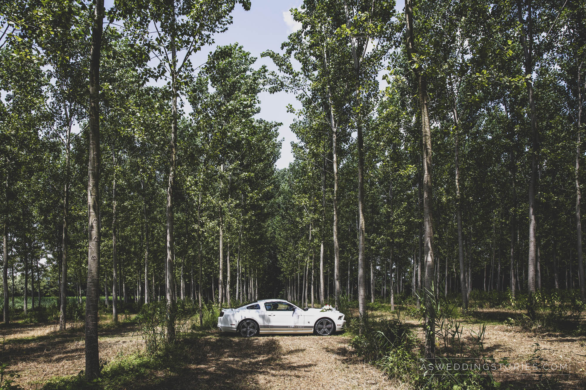 Foto  Salzano Villa Regina Corner di Cavasagra di Vedelago Laura e Claudio