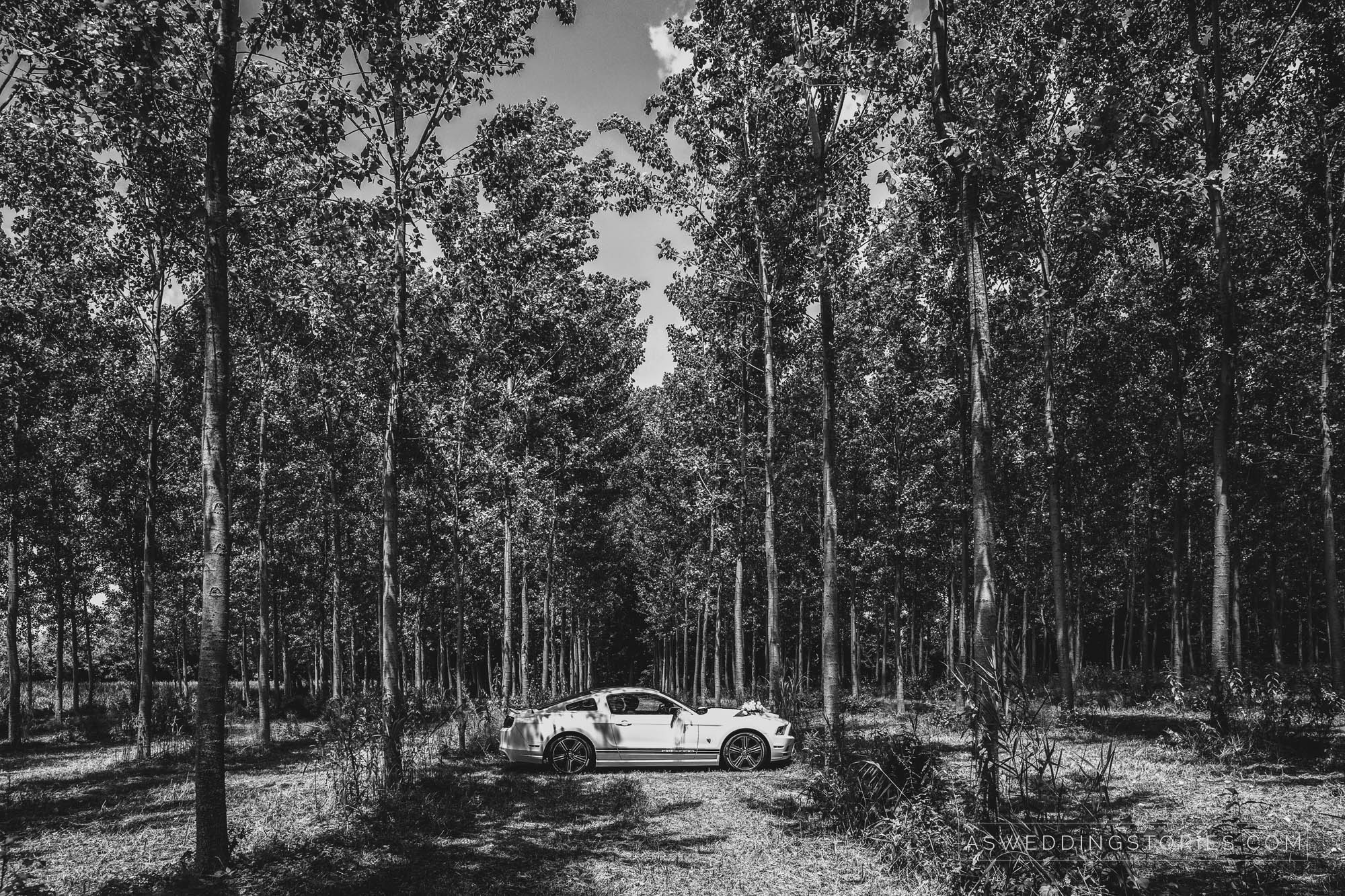 Foto  Salzano Villa Regina Corner di Cavasagra di Vedelago Laura e Claudio