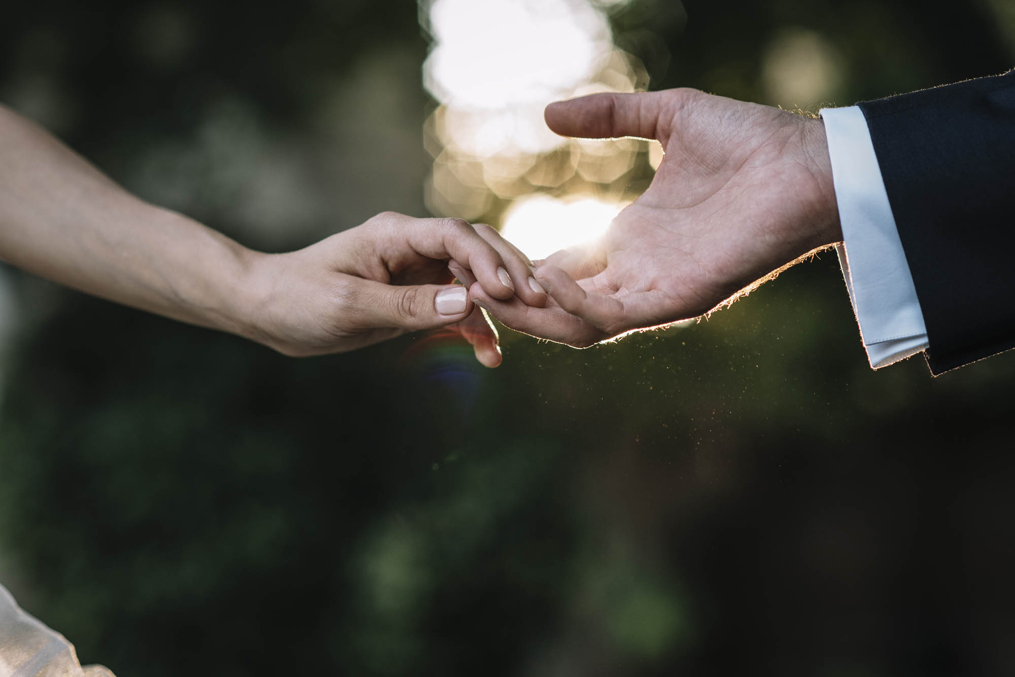 Foto  Pianiga Villa Contarini Rossi Laura e Marco