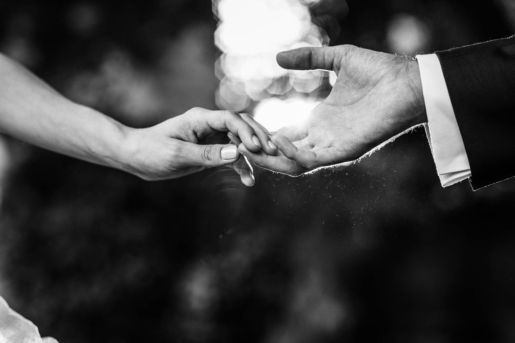 Foto  Pianiga Villa Contarini Rossi Laura e Marco