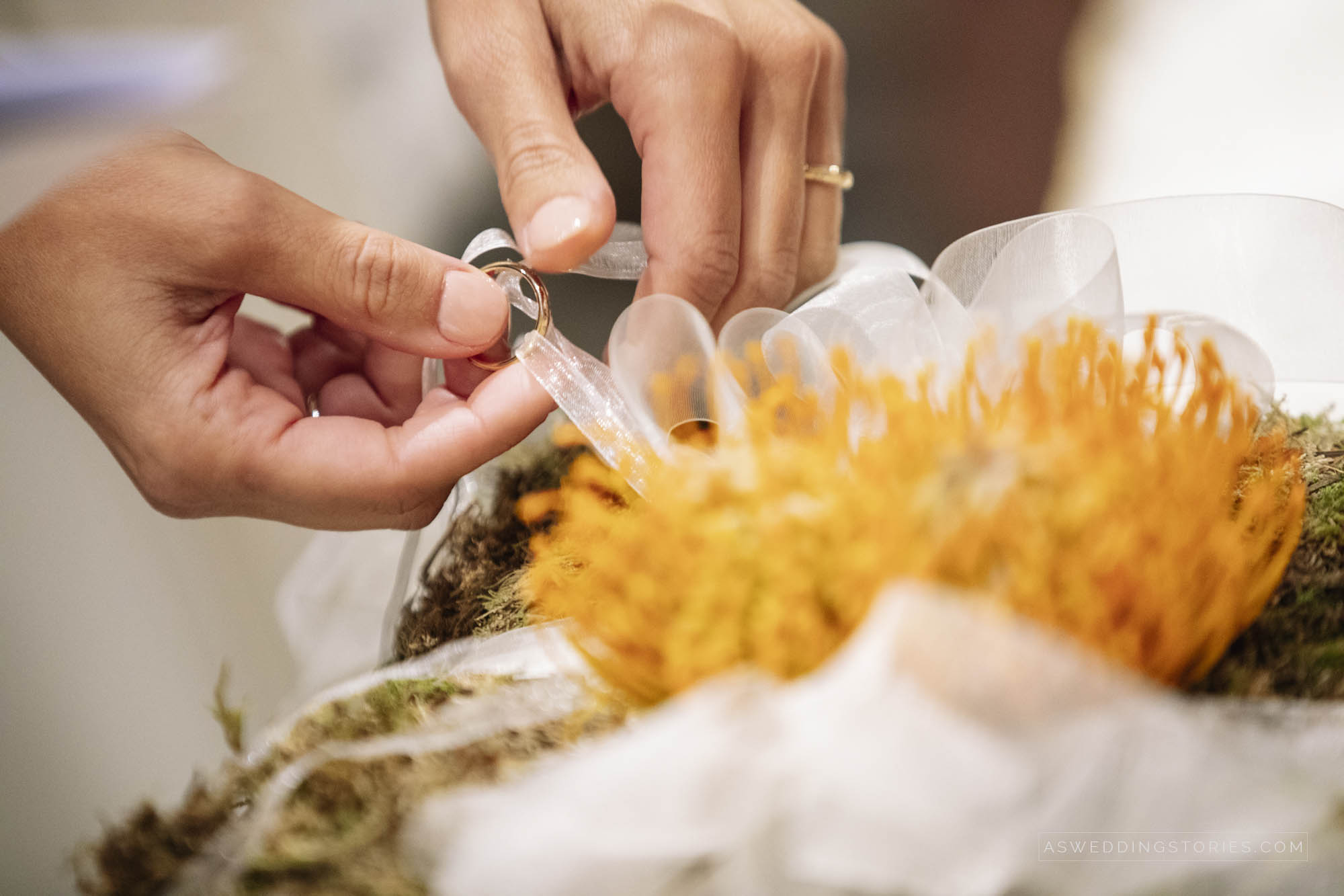 Foto  Monselice / Duomo Vecchio Padova / Villa Molin Alice e Michele