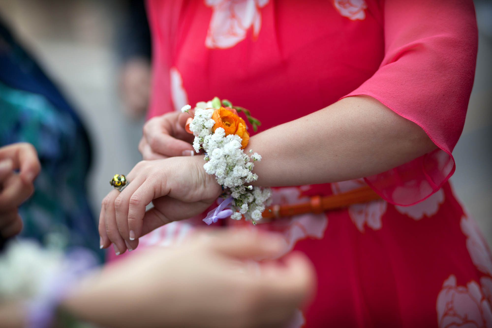 Foto  Abano Terme Villa Pollini Eva e Matheus