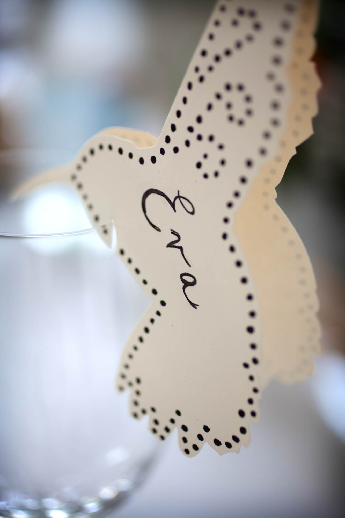 Foto  Abano Terme Villa Pollini Eva e Matheus