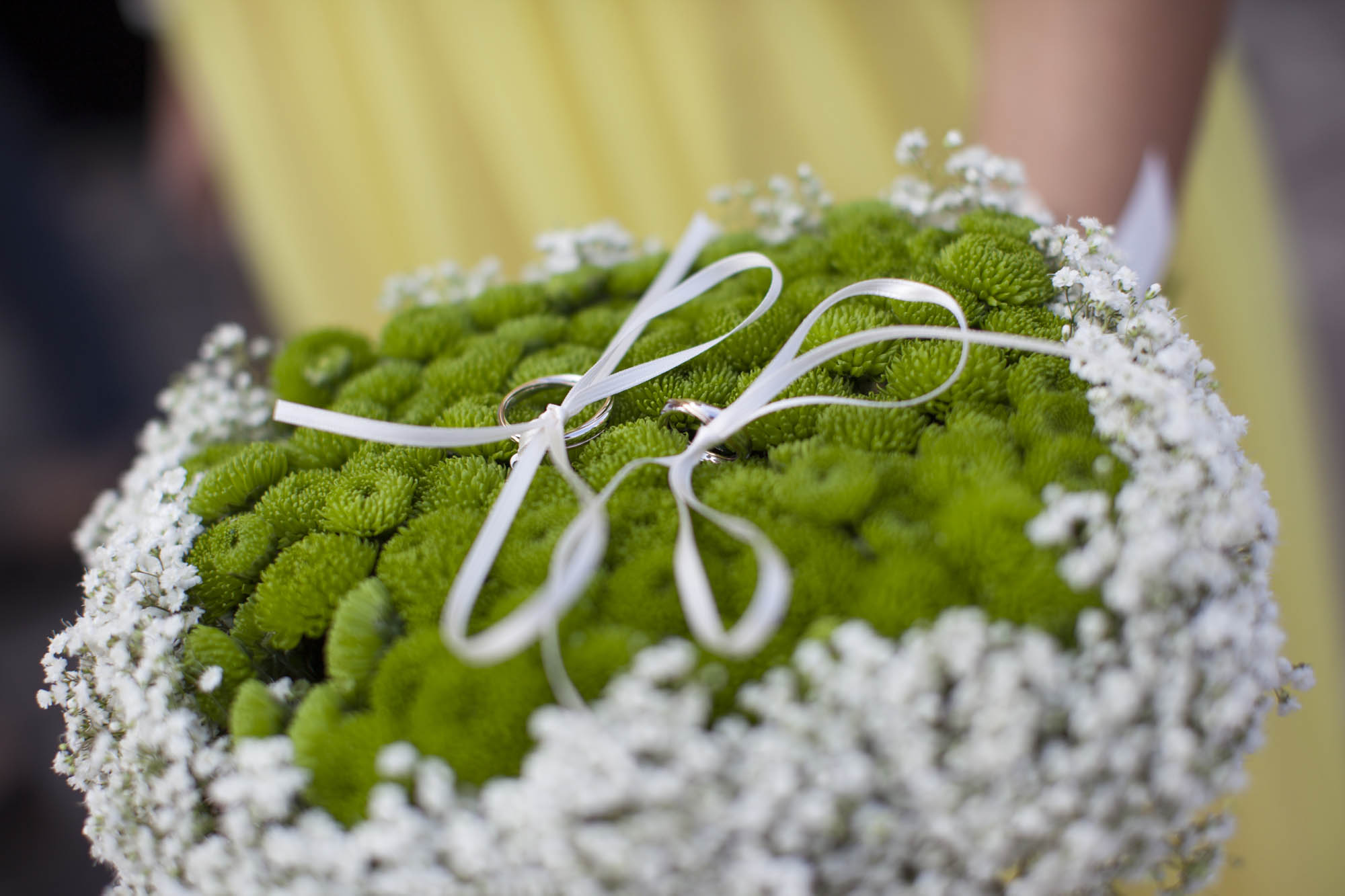 Foto  Trebaseleghe Villa Cà Marcello Barbara e Dario