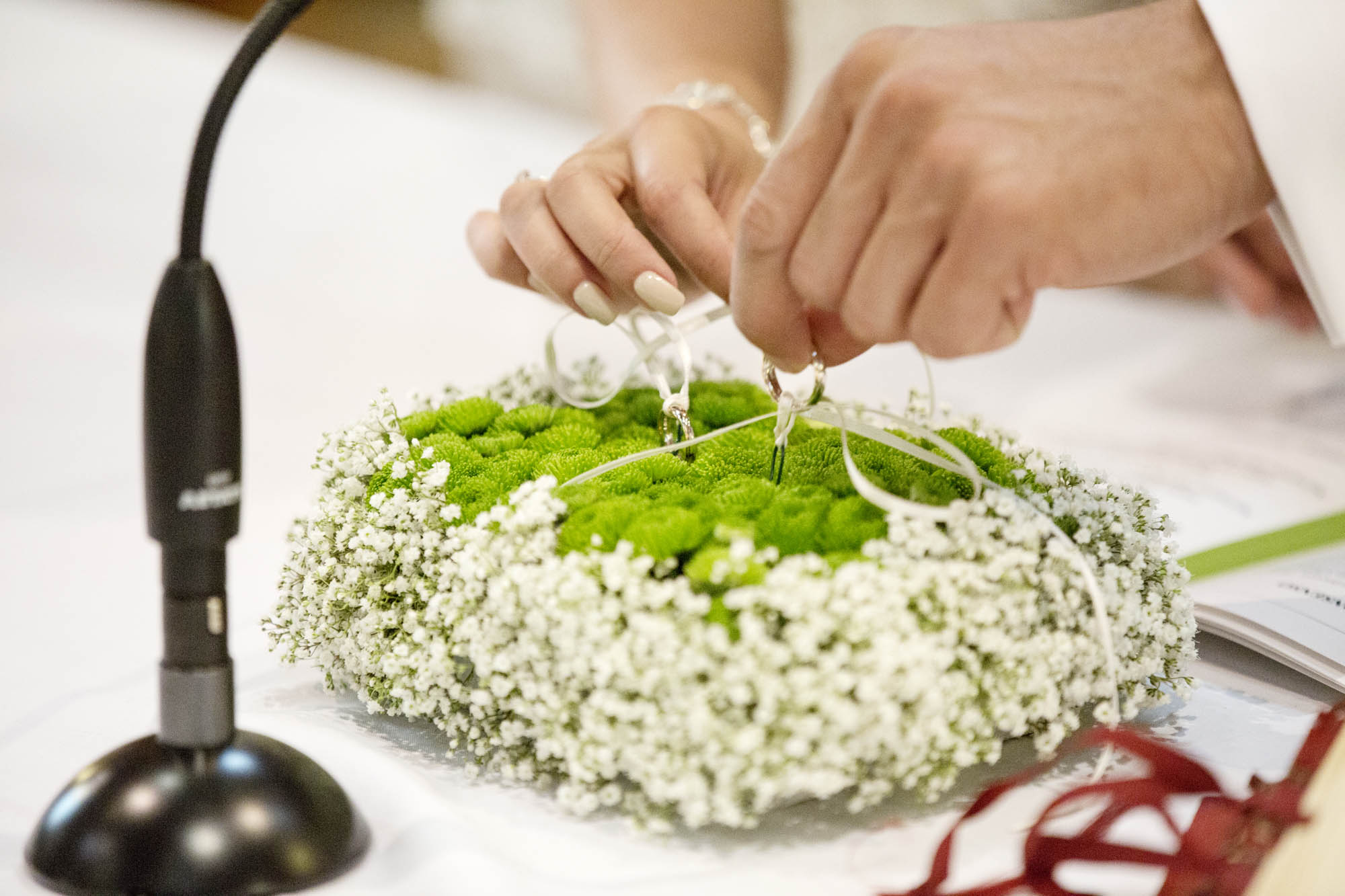 Foto  Trebaseleghe Villa Cà Marcello Barbara e Dario