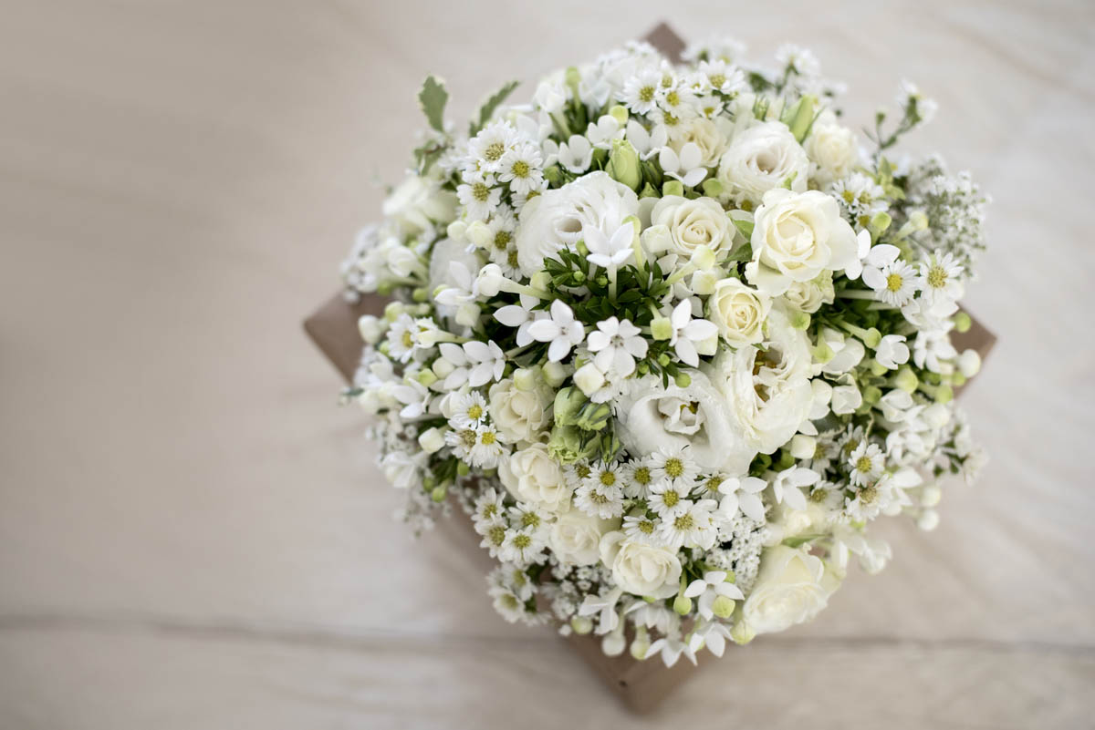 Foto  Mesarada di Padova Villa Petrobelli Daniela e Corrado