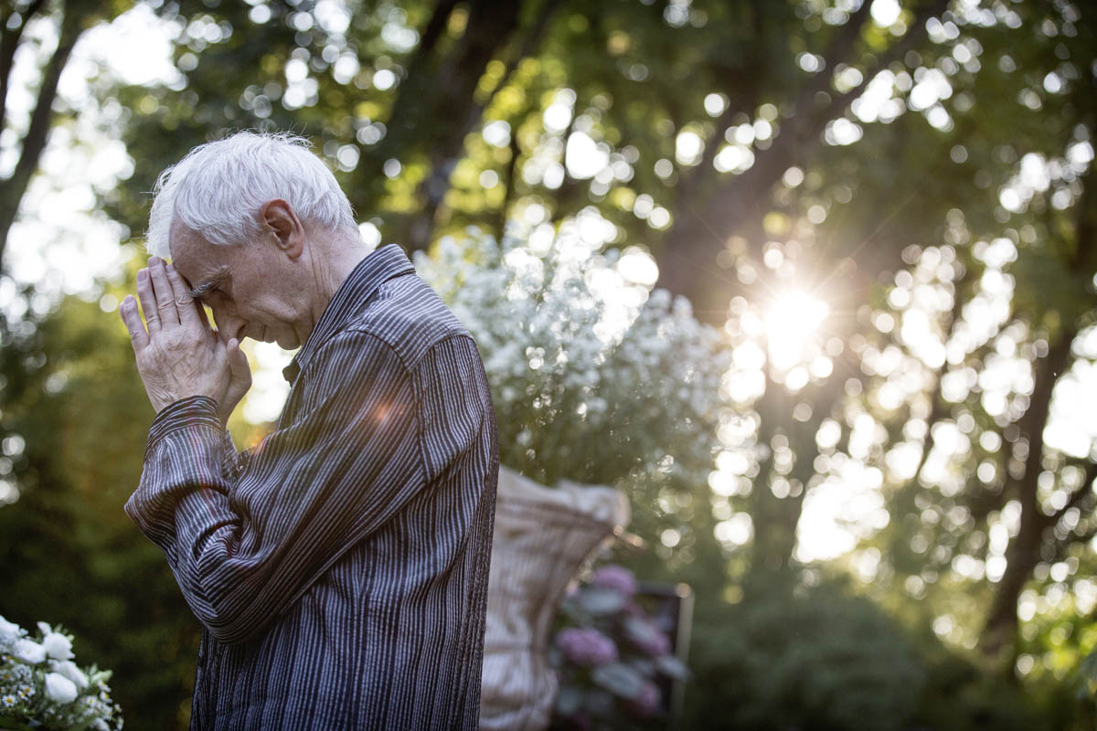 Foto  Mesarada di Padova Villa Petrobelli Daniela e Corrado