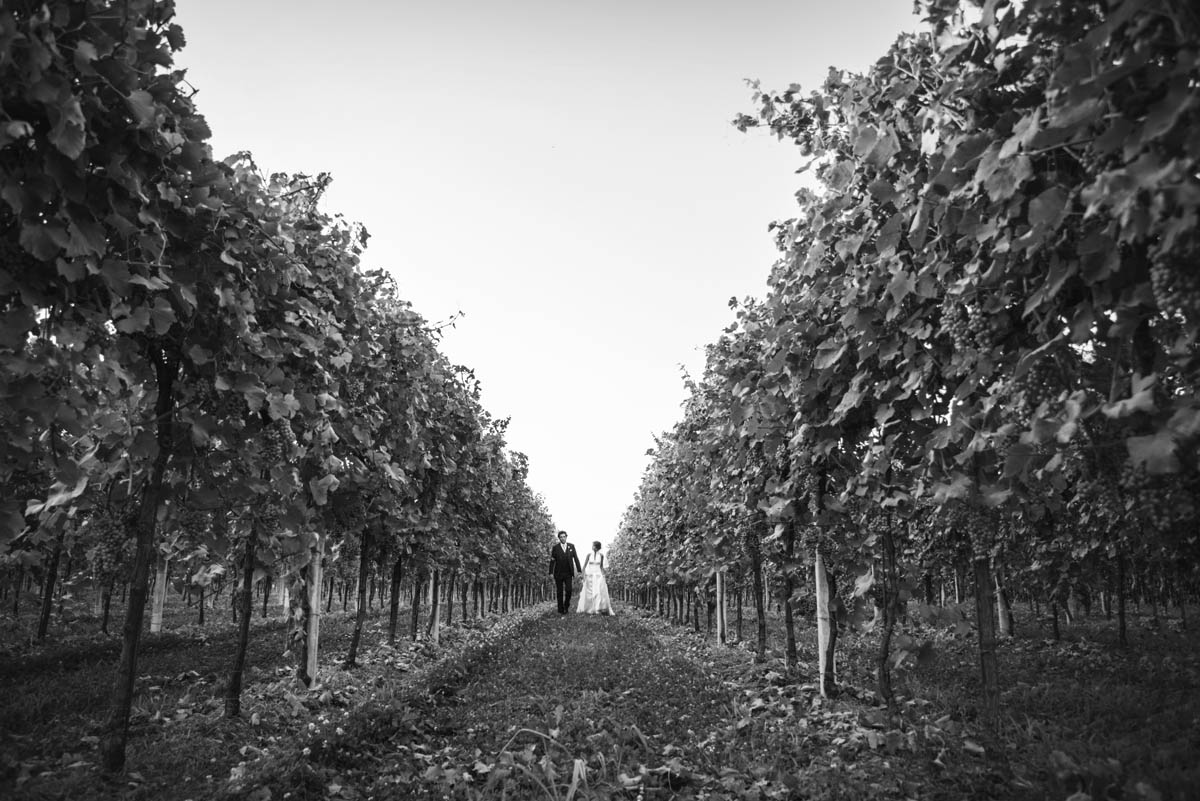 Foto  Mesarada di Padova Villa Petrobelli Daniela e Corrado