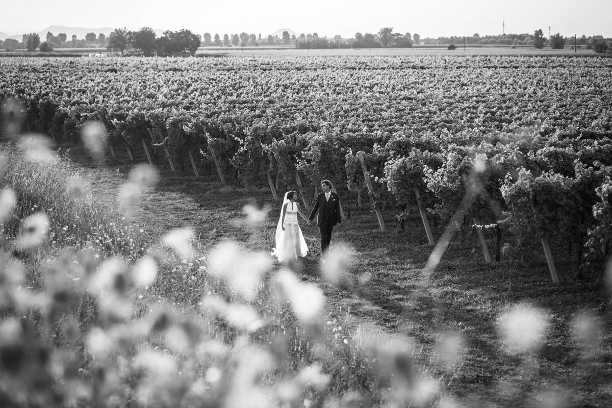 Foto  Mesarada di Padova Villa Petrobelli Daniela e Corrado