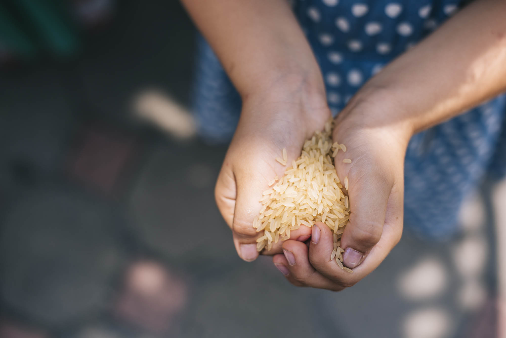 Foto  Vigodarzere Villa Petrobelli Lisa ed Enrico