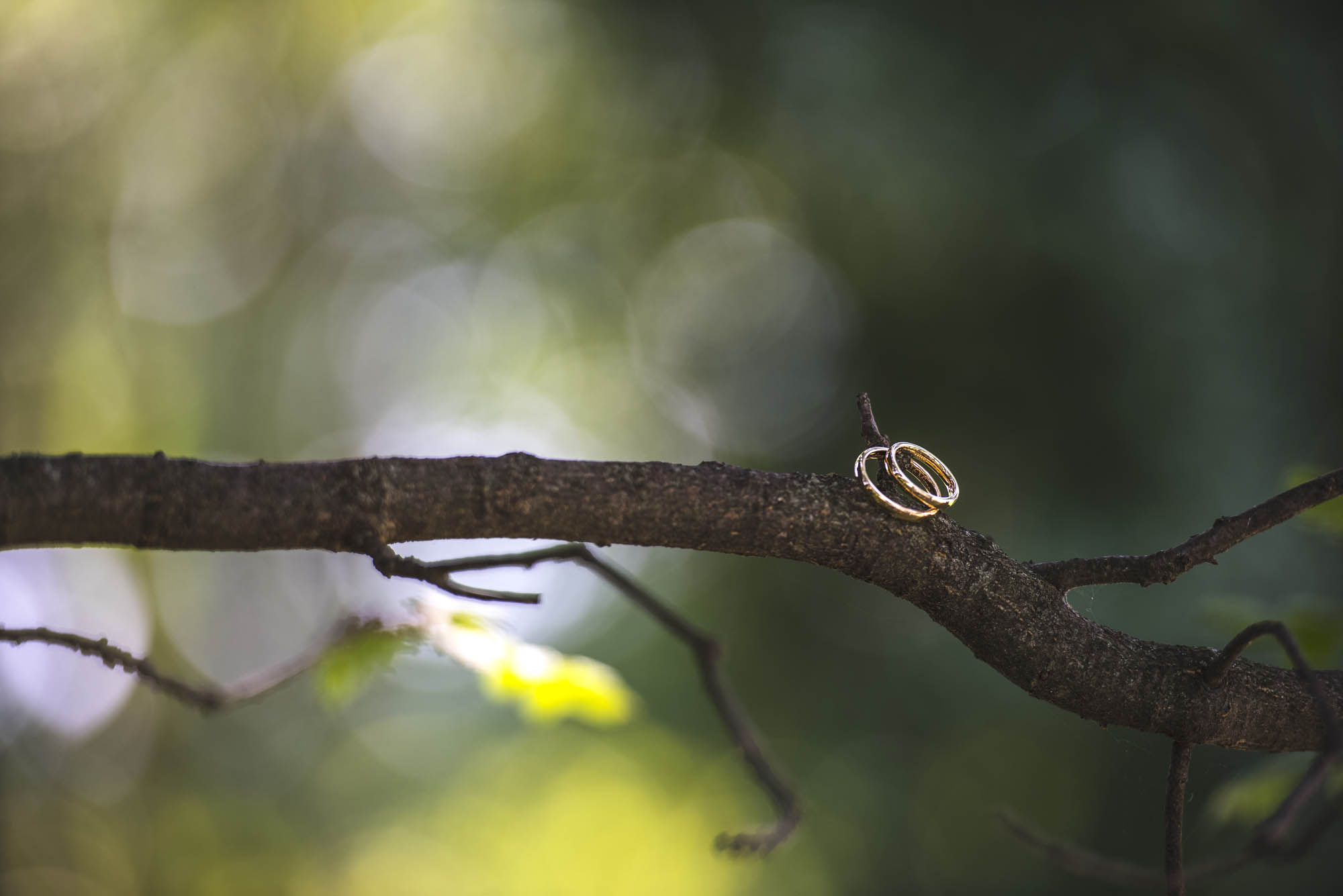 Foto  San Zenone degli Ezzelini La Cucina di Crema Cristina e Mirco
