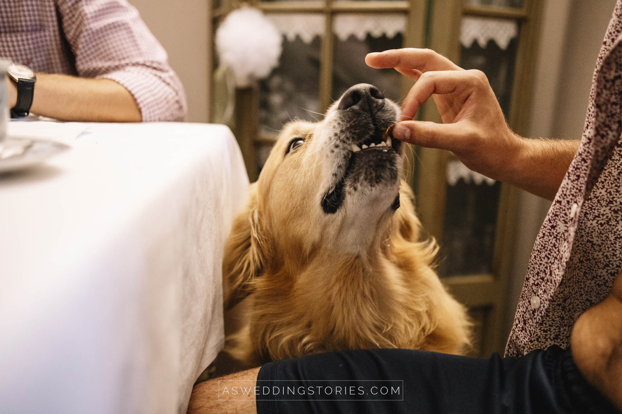 Foto  Borgoricco Villa Traverso Pedrina Maria Giulia e Manuel
