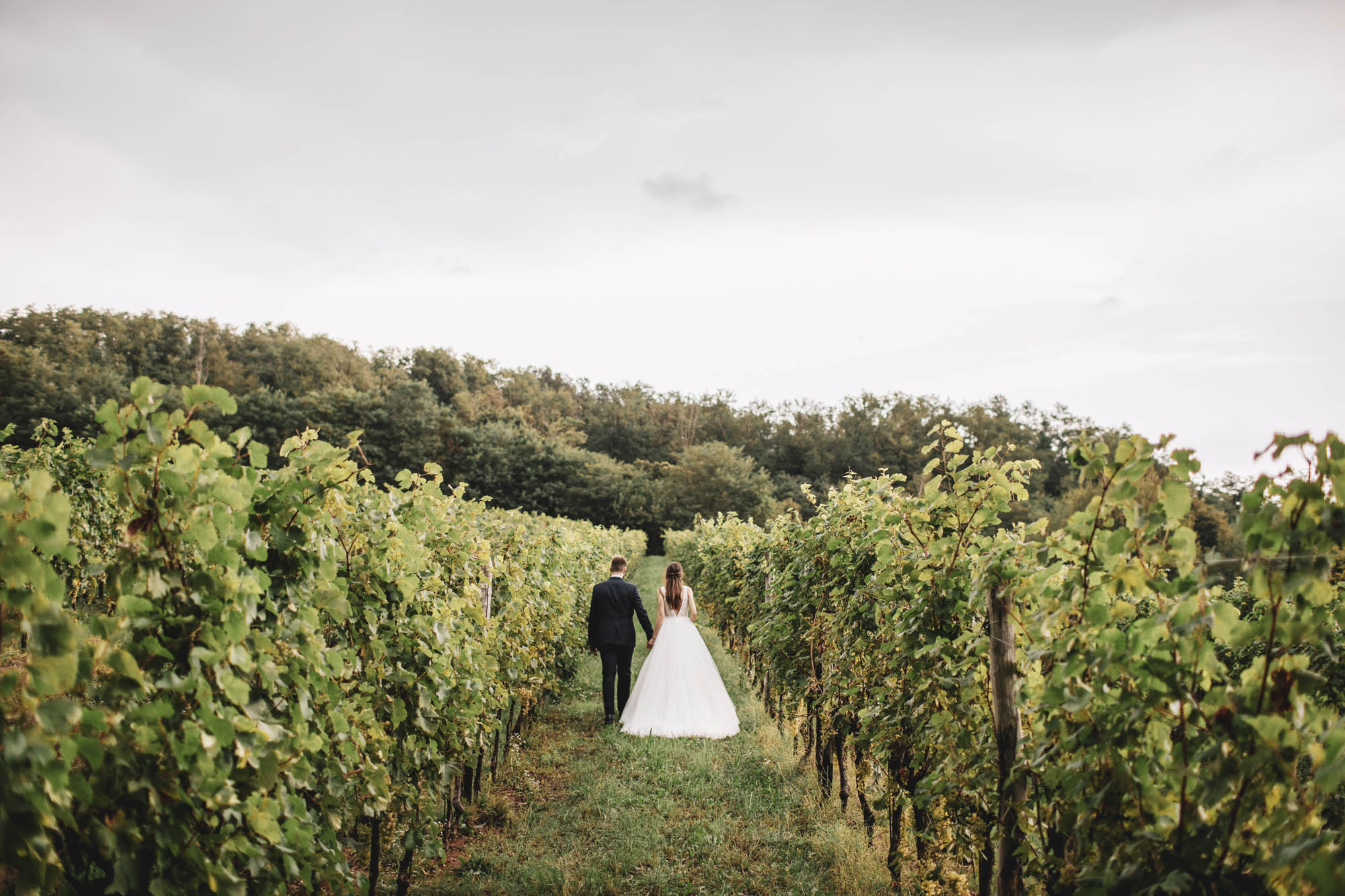 Foto  Sant'Ambrogio di Trebaseleghe Casa Gobbato Veronica e Luca