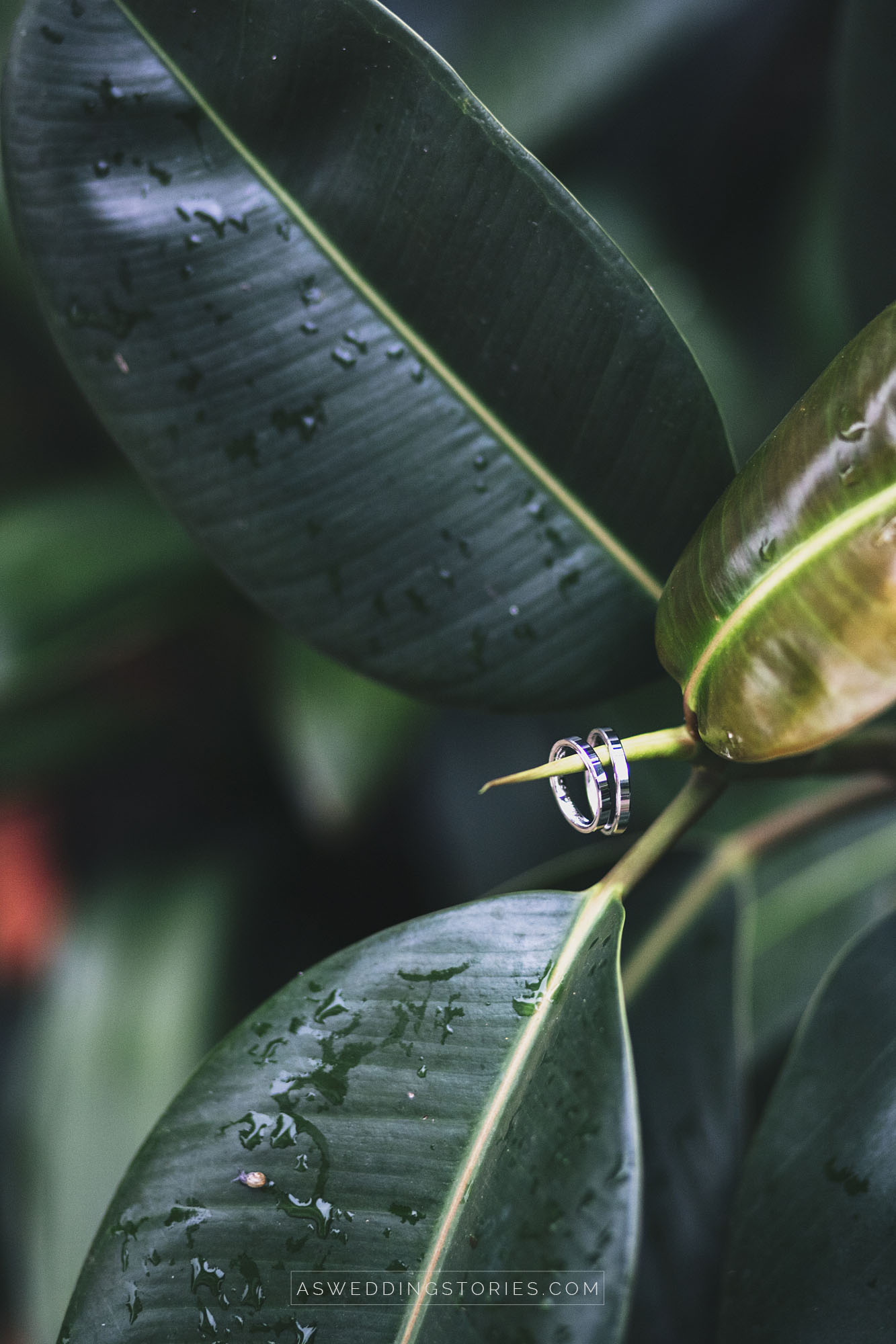 Foto  Mogliano Veneto Filanda Motta Veronica e Andrea