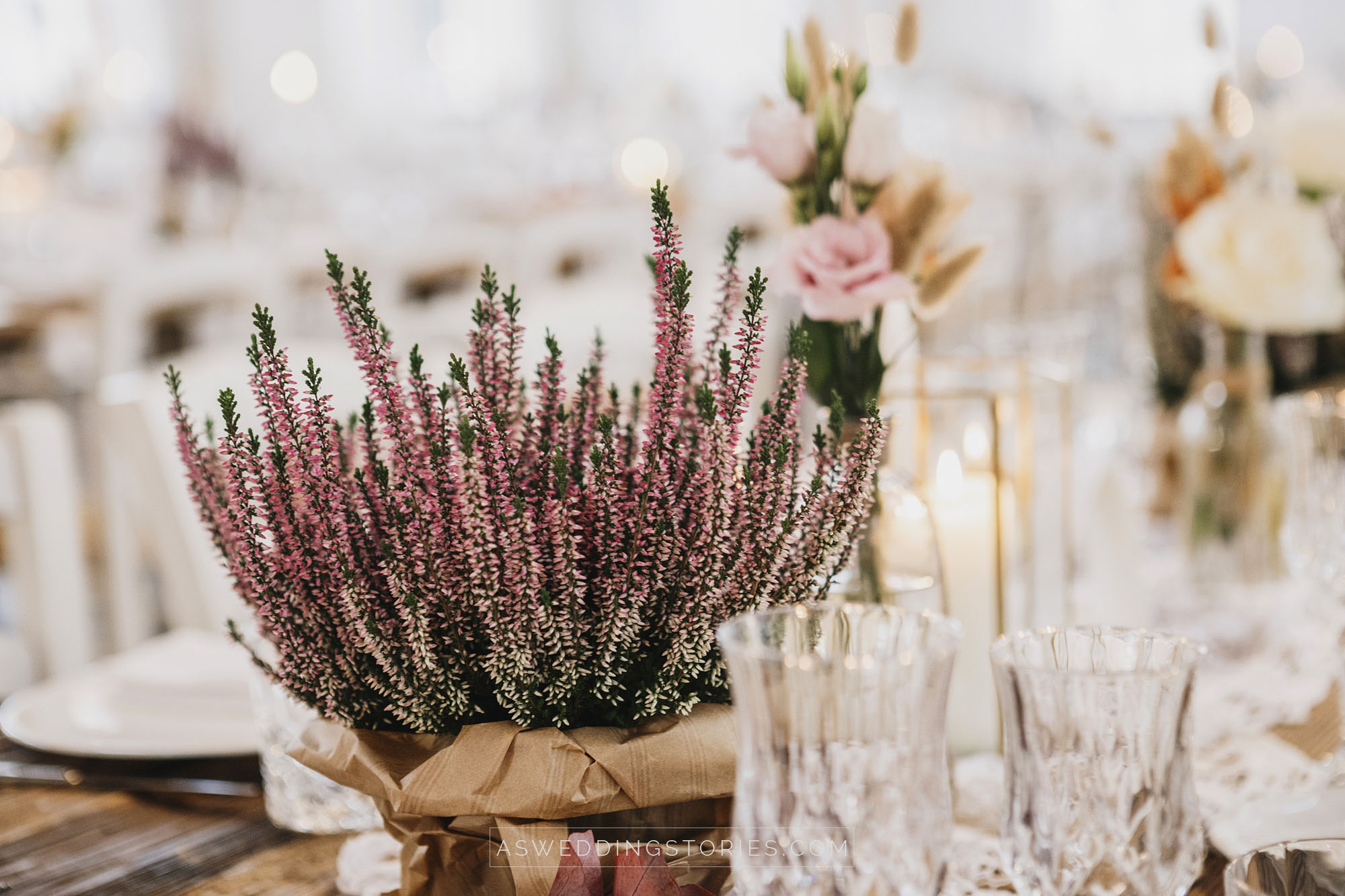 Foto  Mogliano Veneto Filanda Motta Veronica e Andrea