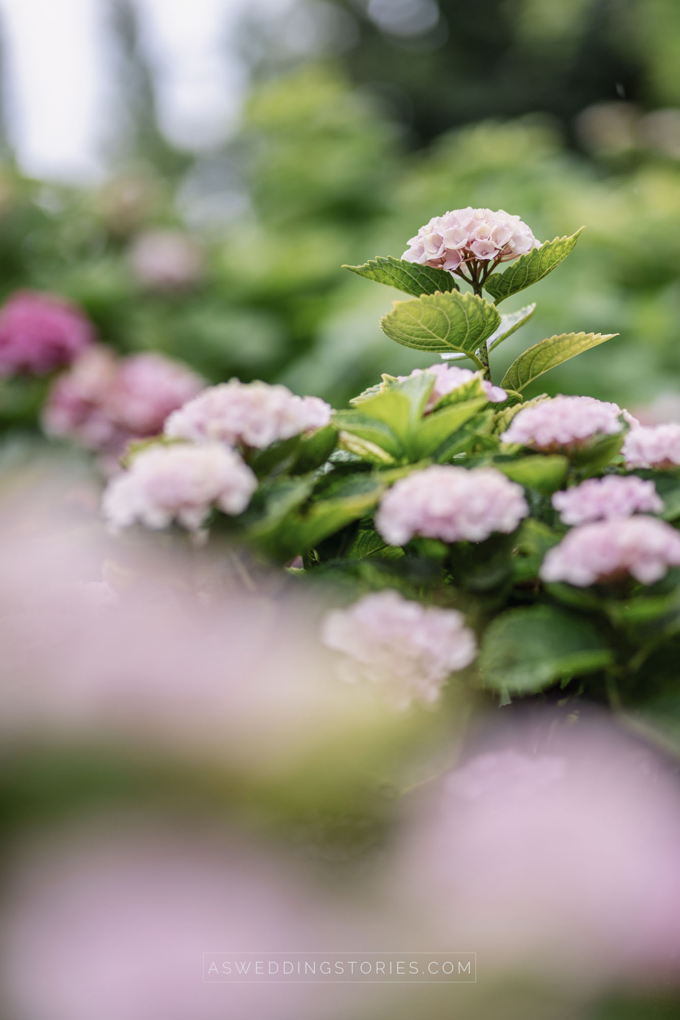 Foto  Torre di Mosto Villa O'hara Marta e Federico