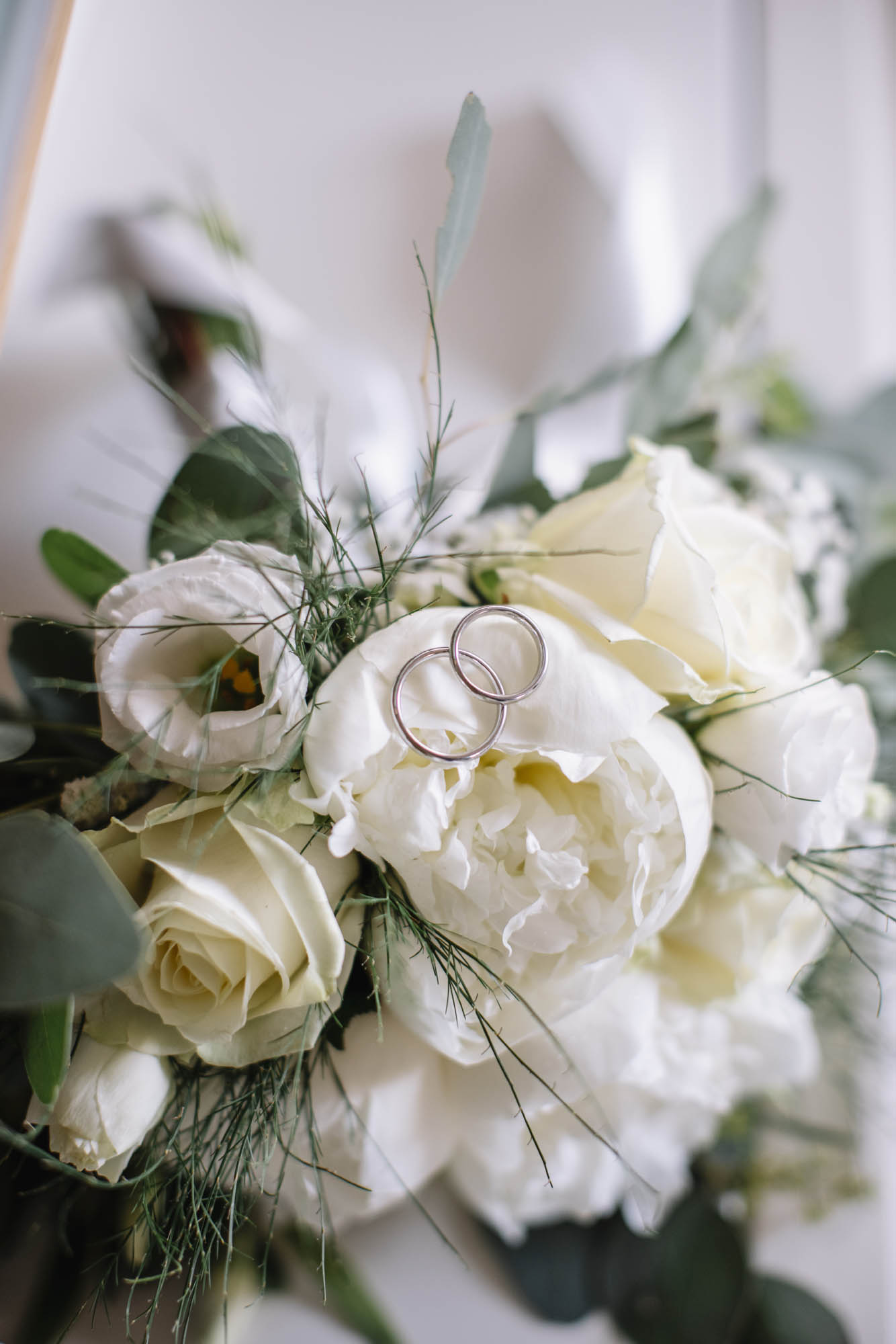 Foto  Trebaseleghe Villa Pacchierotti De Benedetti, Limena Maddalena e Jacopo