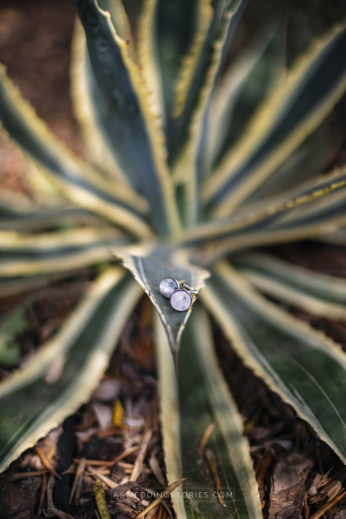 Foto  Trebaseleghe Ristorante Al Tezzon Chiara e Davide