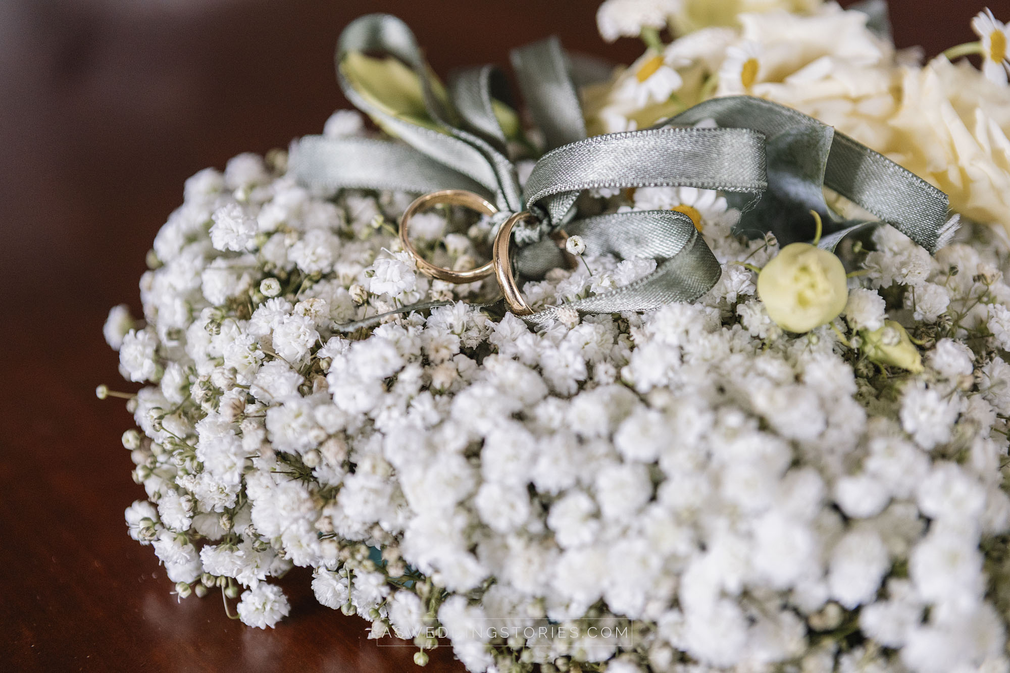 Foto  Trebaseleghe Villa Condulmer Giorgia e Marco