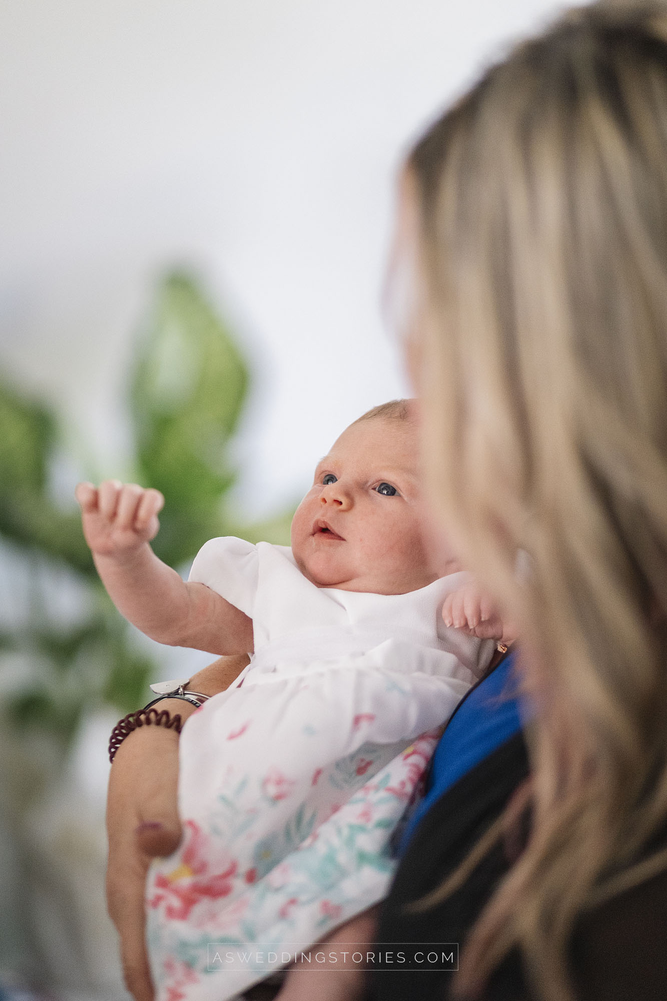 Foto  Trebaseleghe Villa Condulmer Giorgia e Marco