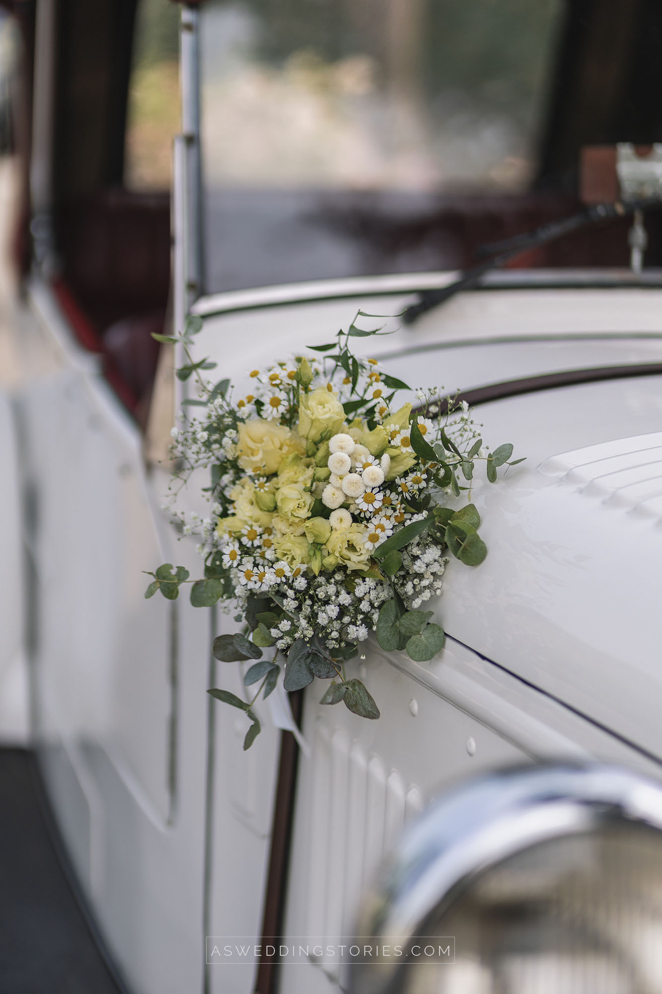 Foto  Trebaseleghe Villa Condulmer Giorgia e Marco