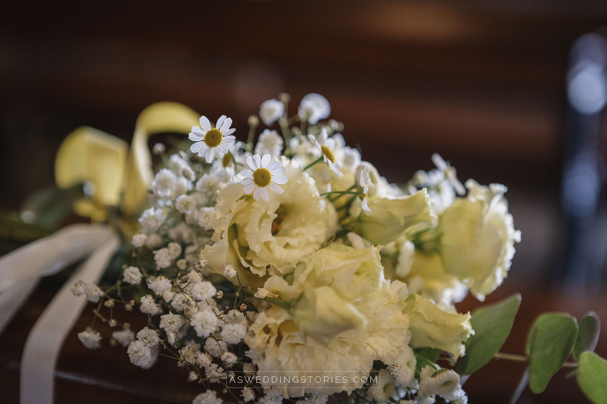 Foto  Trebaseleghe Villa Condulmer Giorgia e Marco