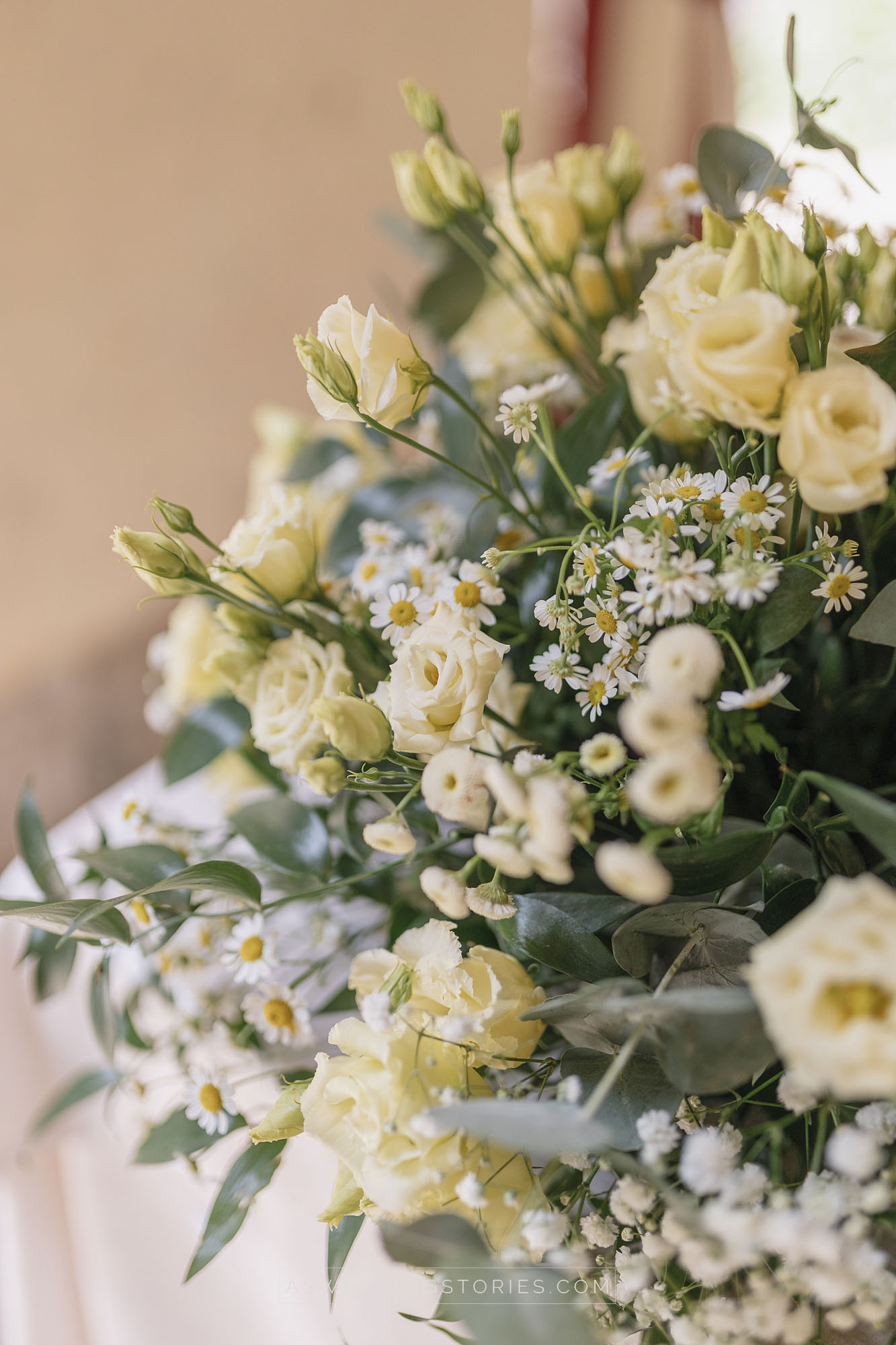 Foto  Trebaseleghe Villa Condulmer Giorgia e Marco