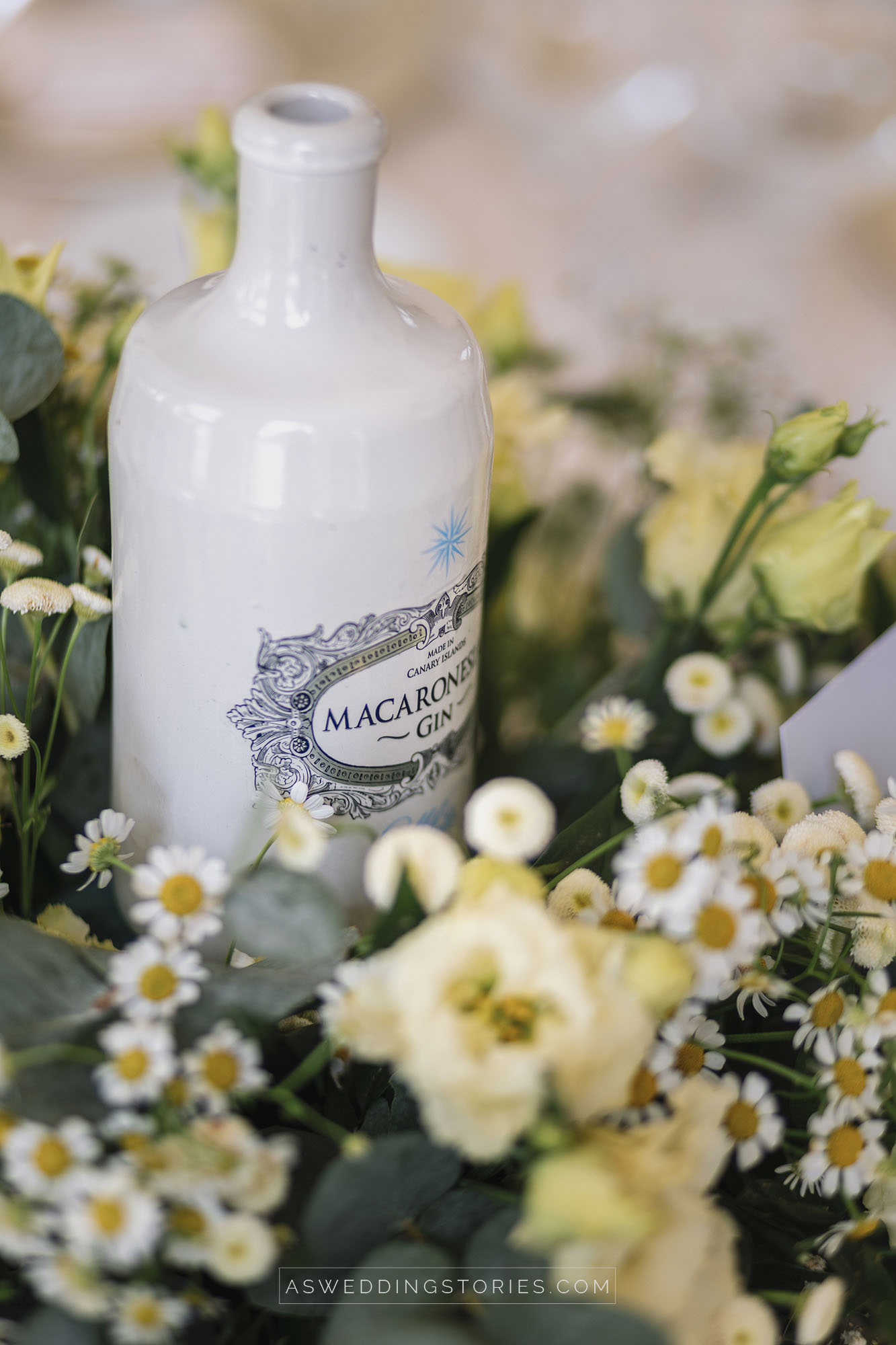 Foto  Trebaseleghe Villa Condulmer Giorgia e Marco