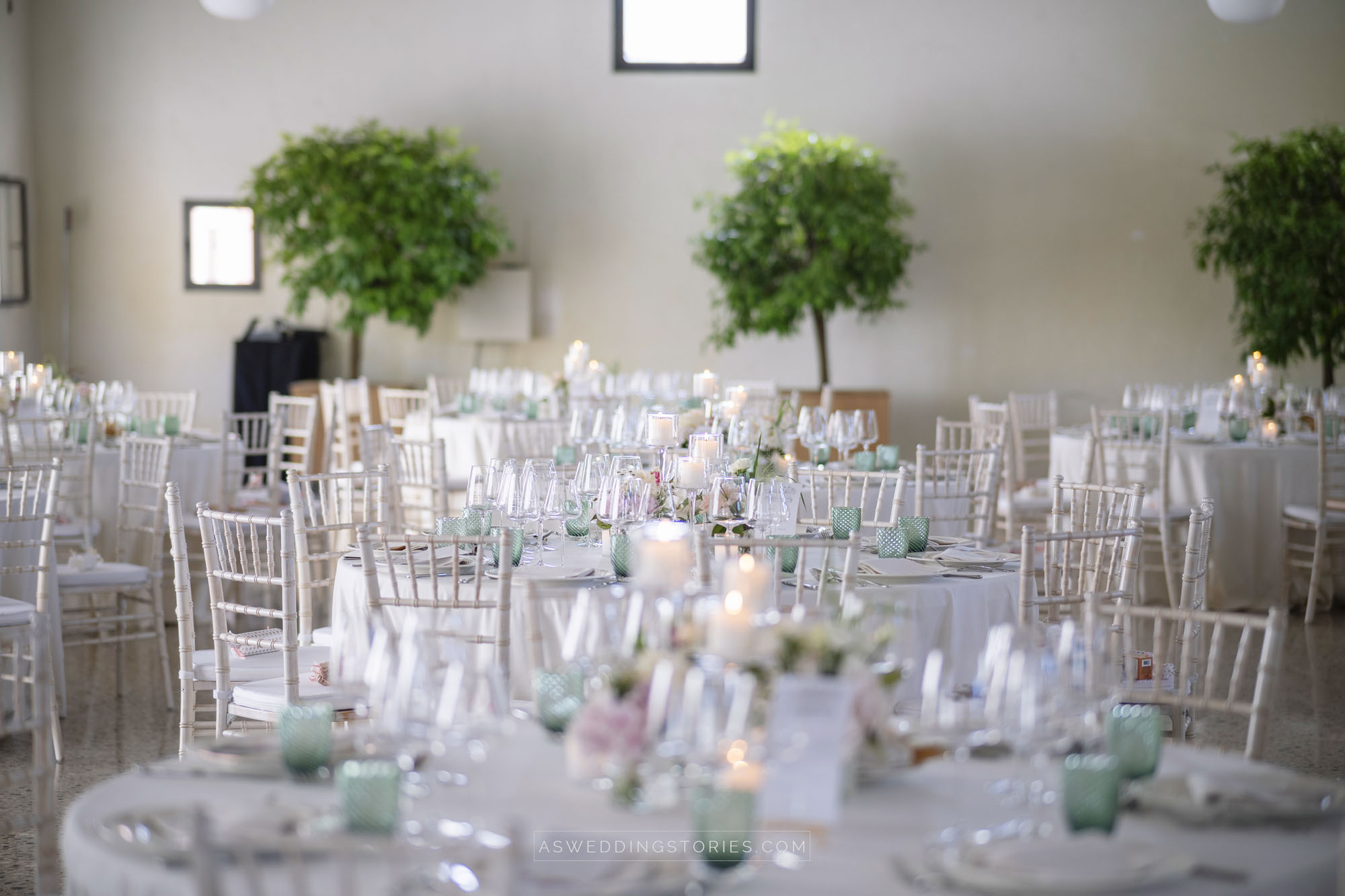 Foto  Montebelluna Tenuta delle mele Ilaria e Marco