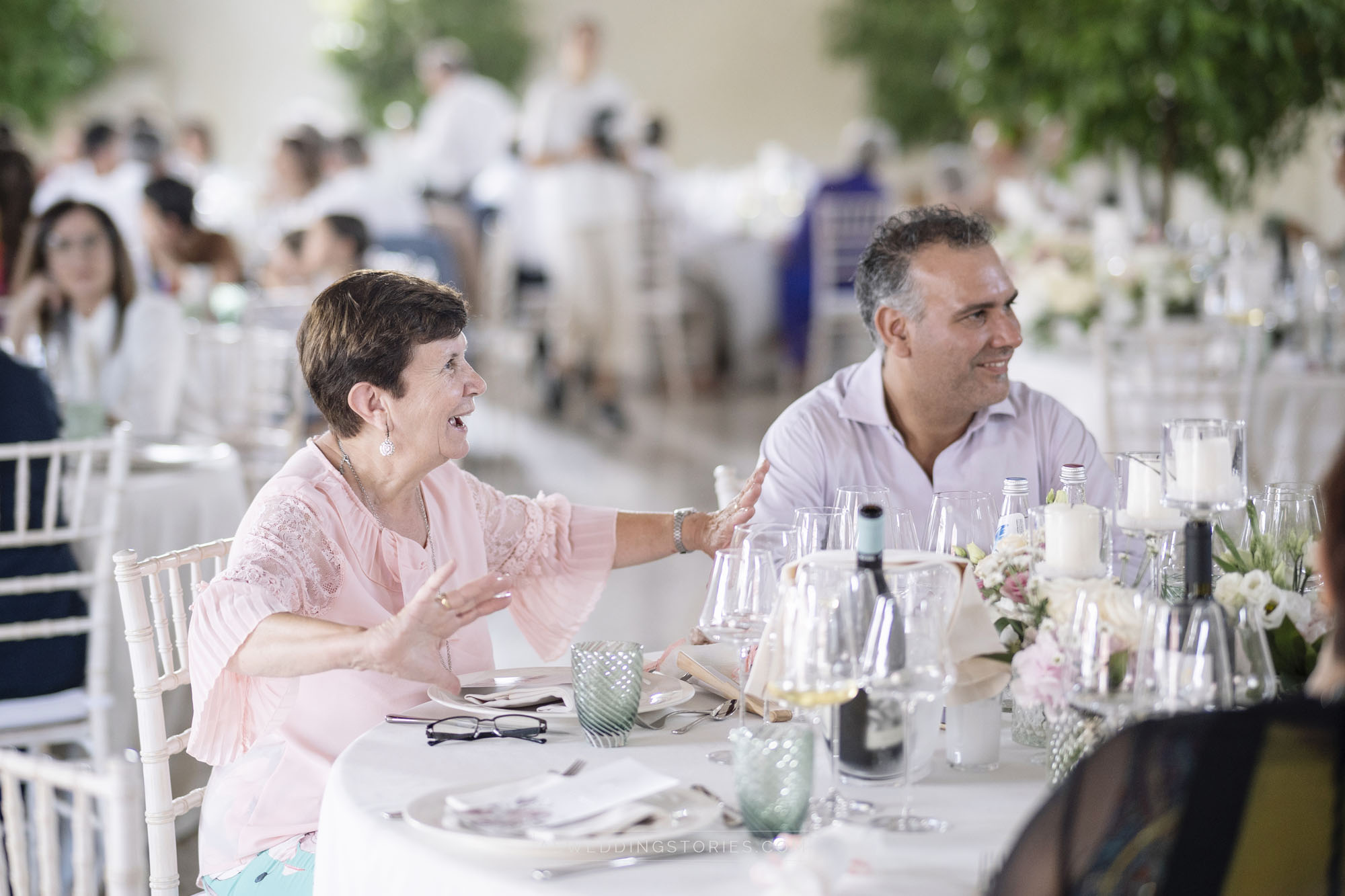 Foto  Montebelluna Tenuta delle mele Ilaria e Marco
