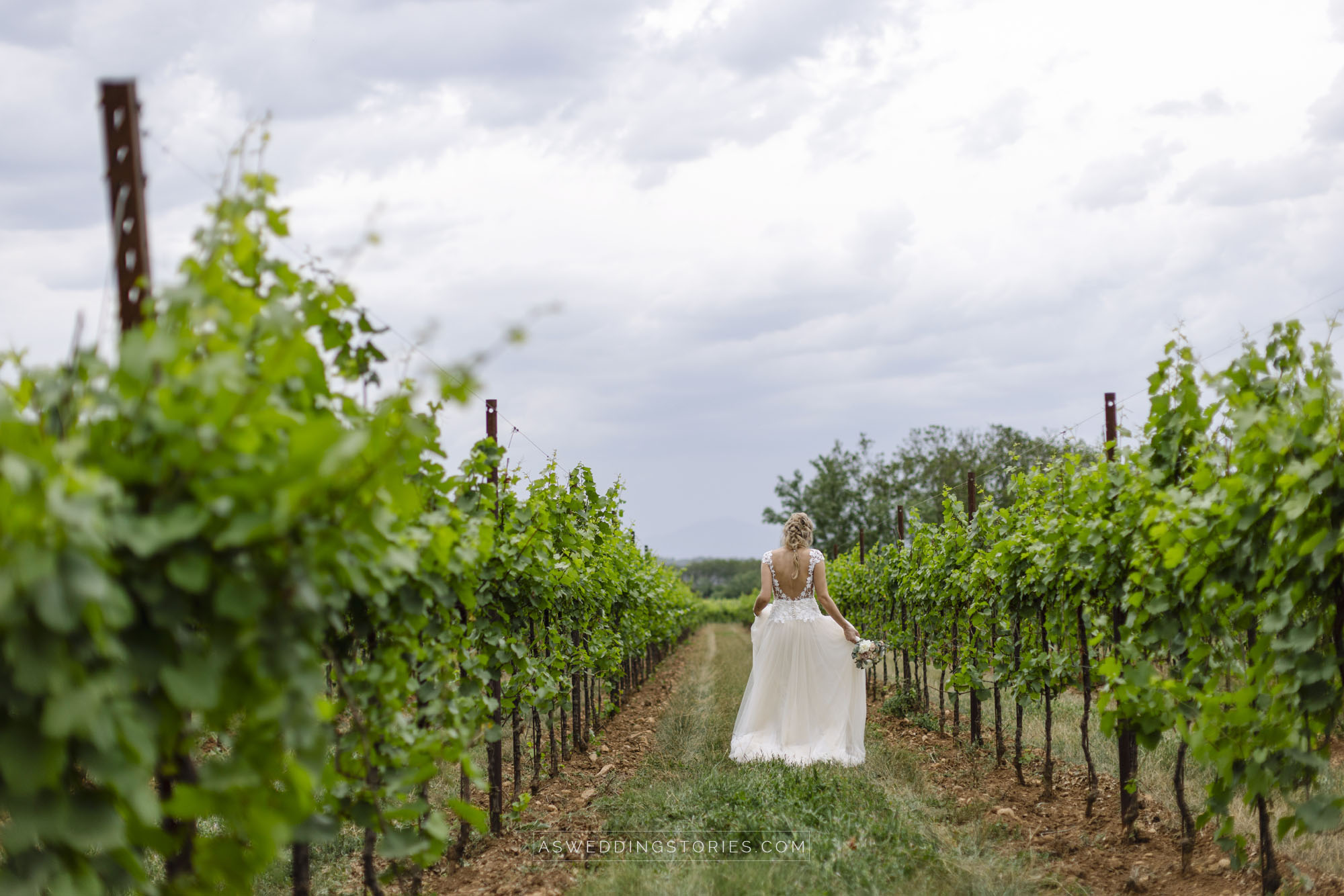 Foto  Montebelluna Tenuta delle mele Ilaria e Marco