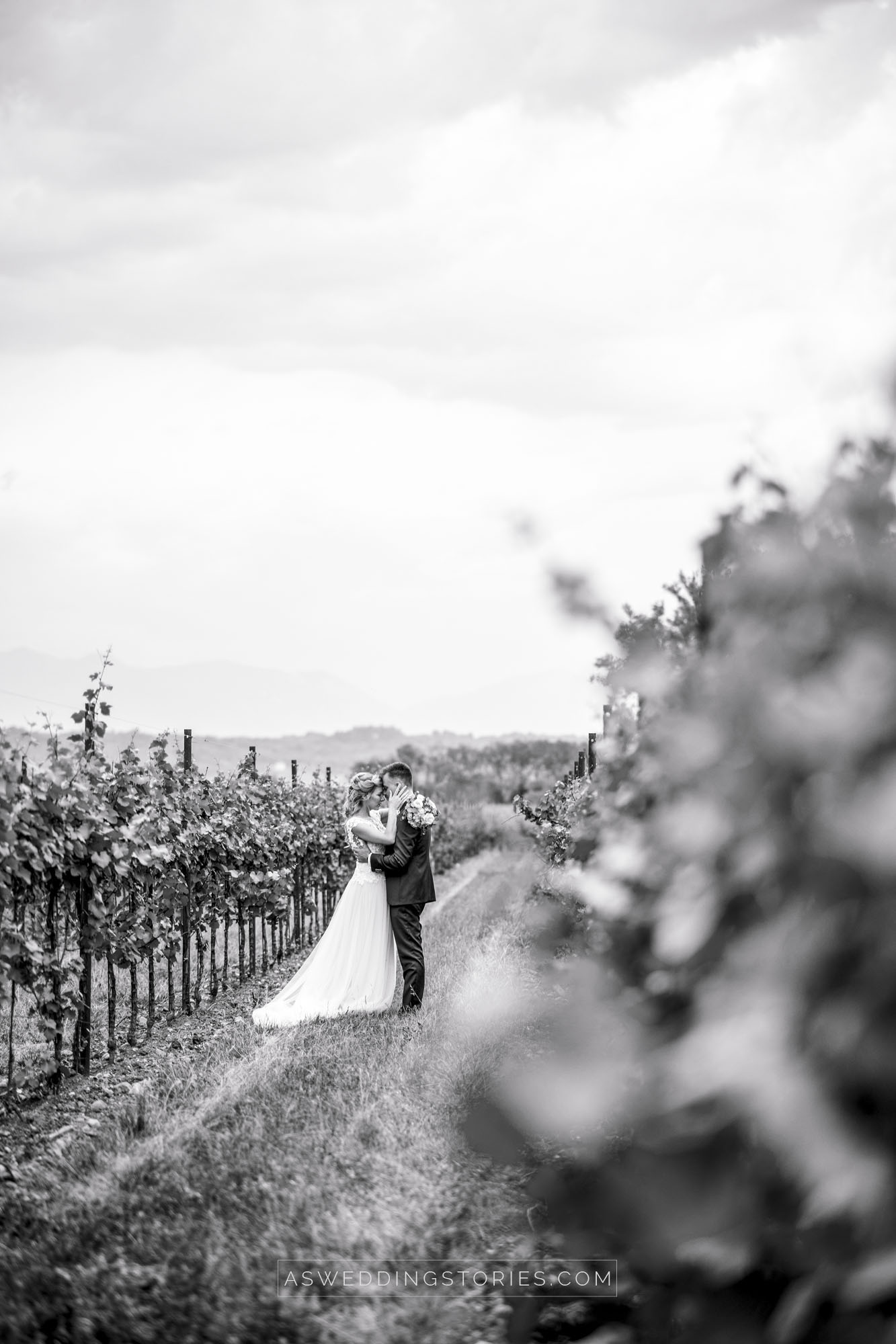 Foto  Montebelluna Tenuta delle mele Ilaria e Marco