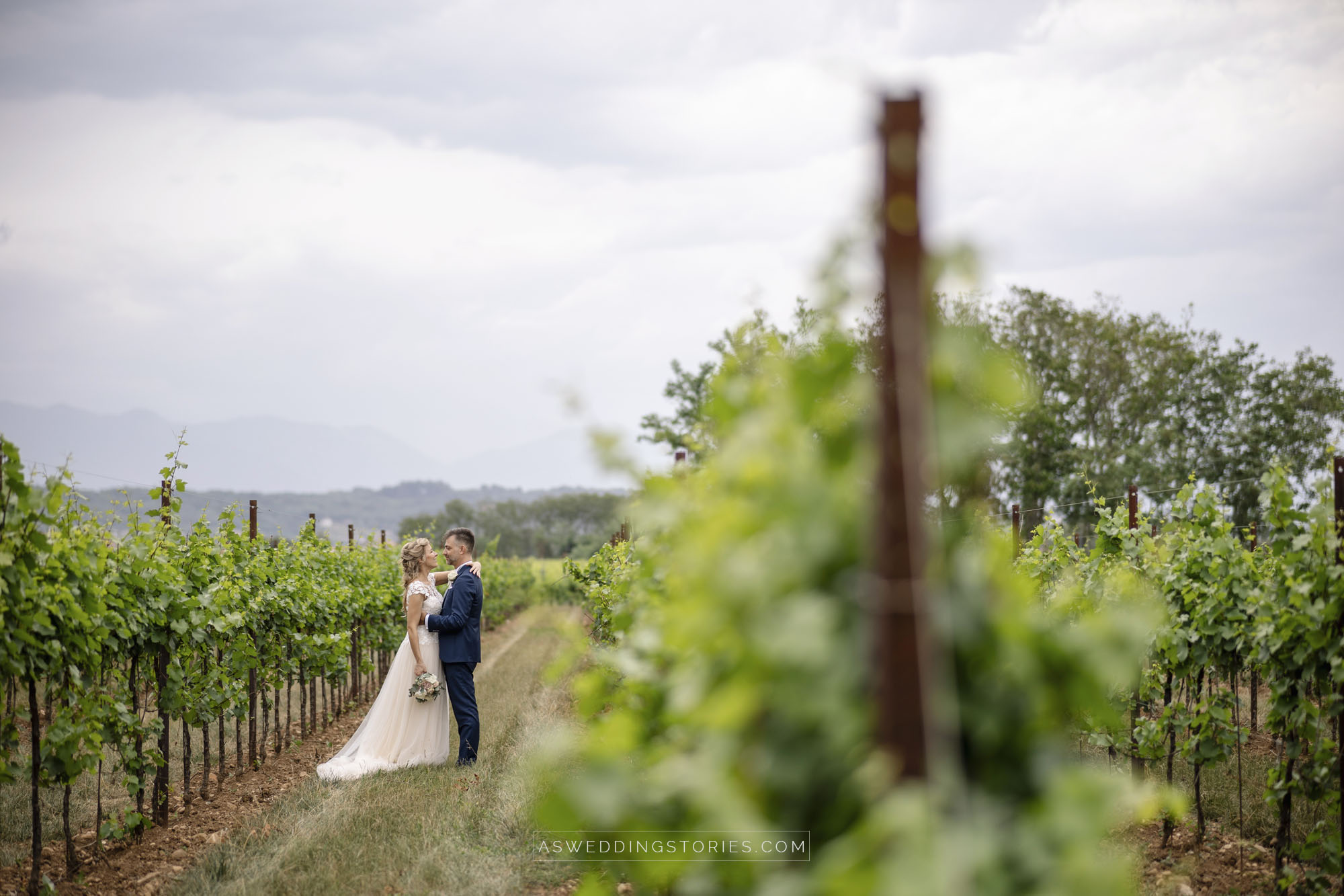 Foto  Montebelluna Tenuta delle mele Ilaria e Marco