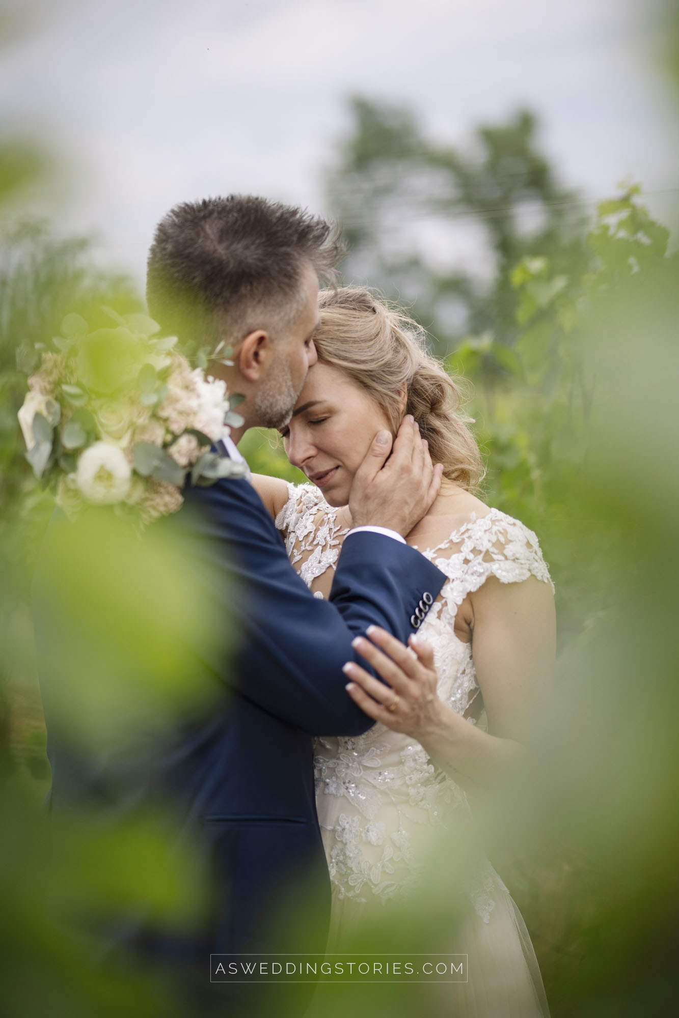 Foto  Montebelluna Tenuta delle mele Ilaria e Marco
