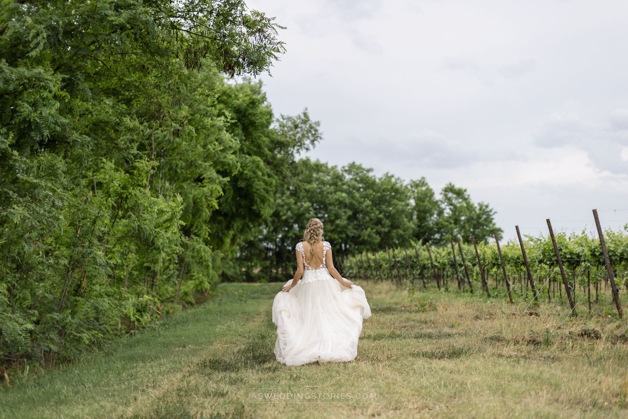 Foto  Montebelluna Tenuta delle mele Ilaria e Marco