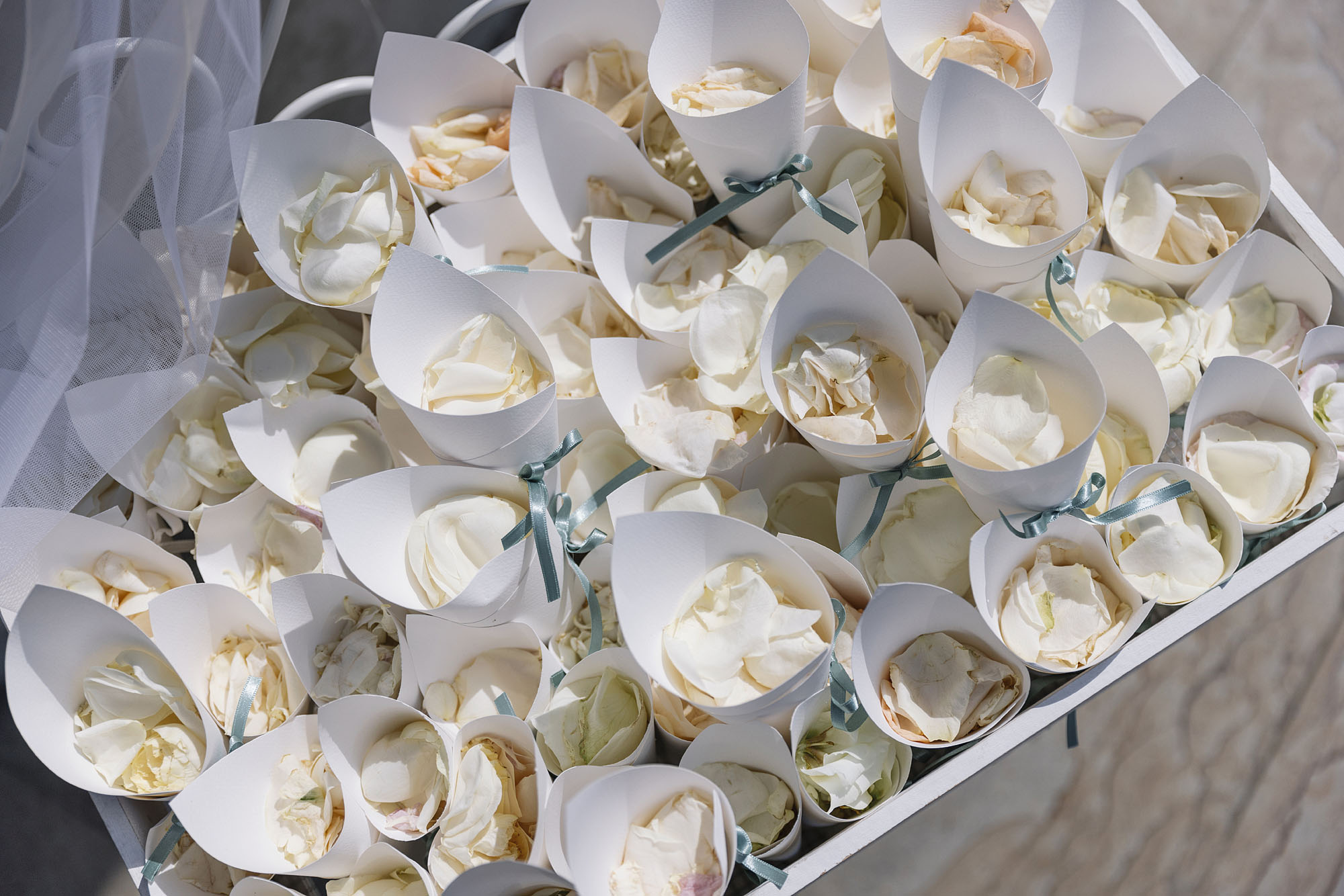 Foto  Villafranca Padova Arquà Petrarca Paola e Marco