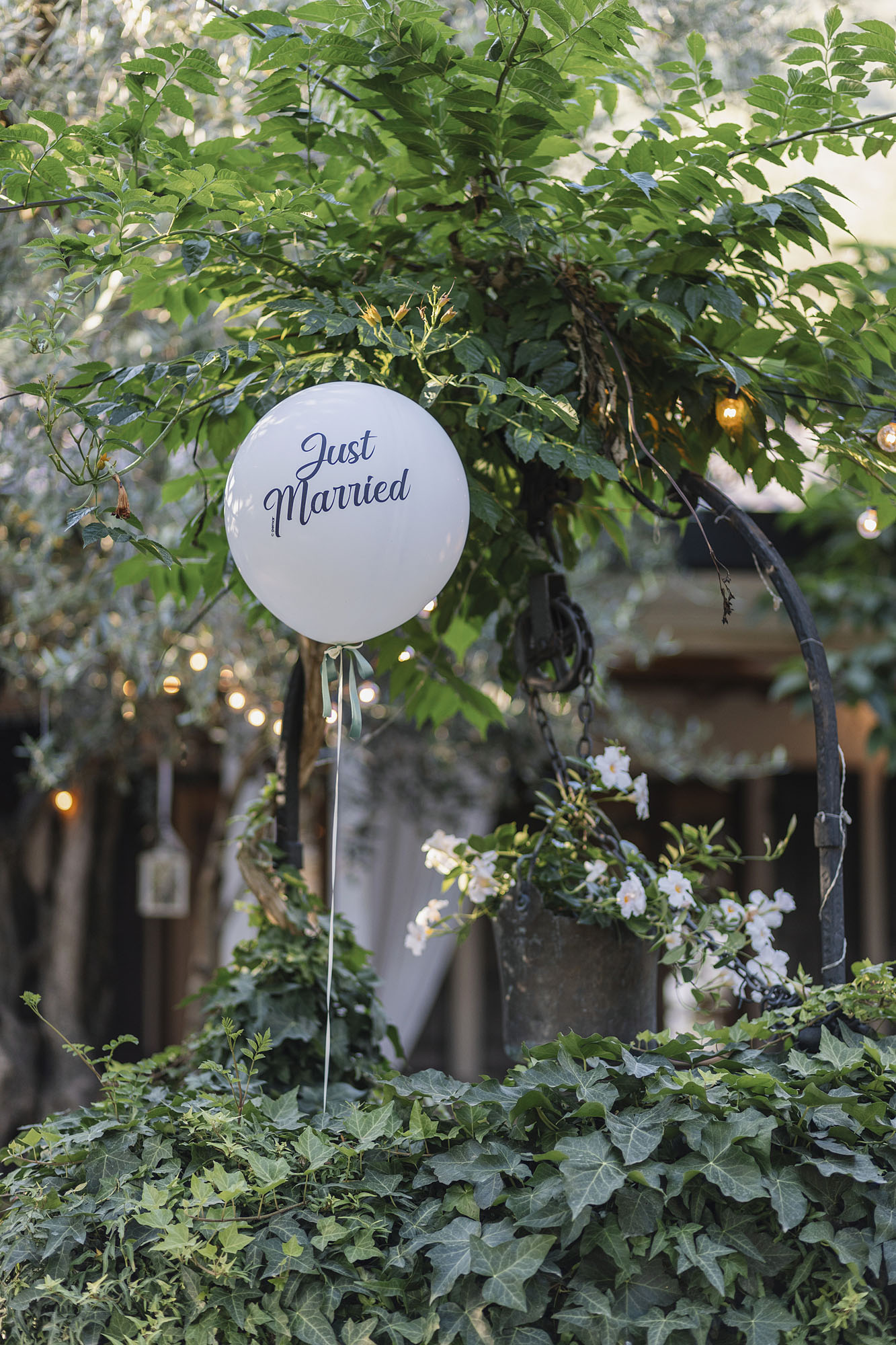 Foto  Villafranca Padova Arquà Petrarca Paola e Marco