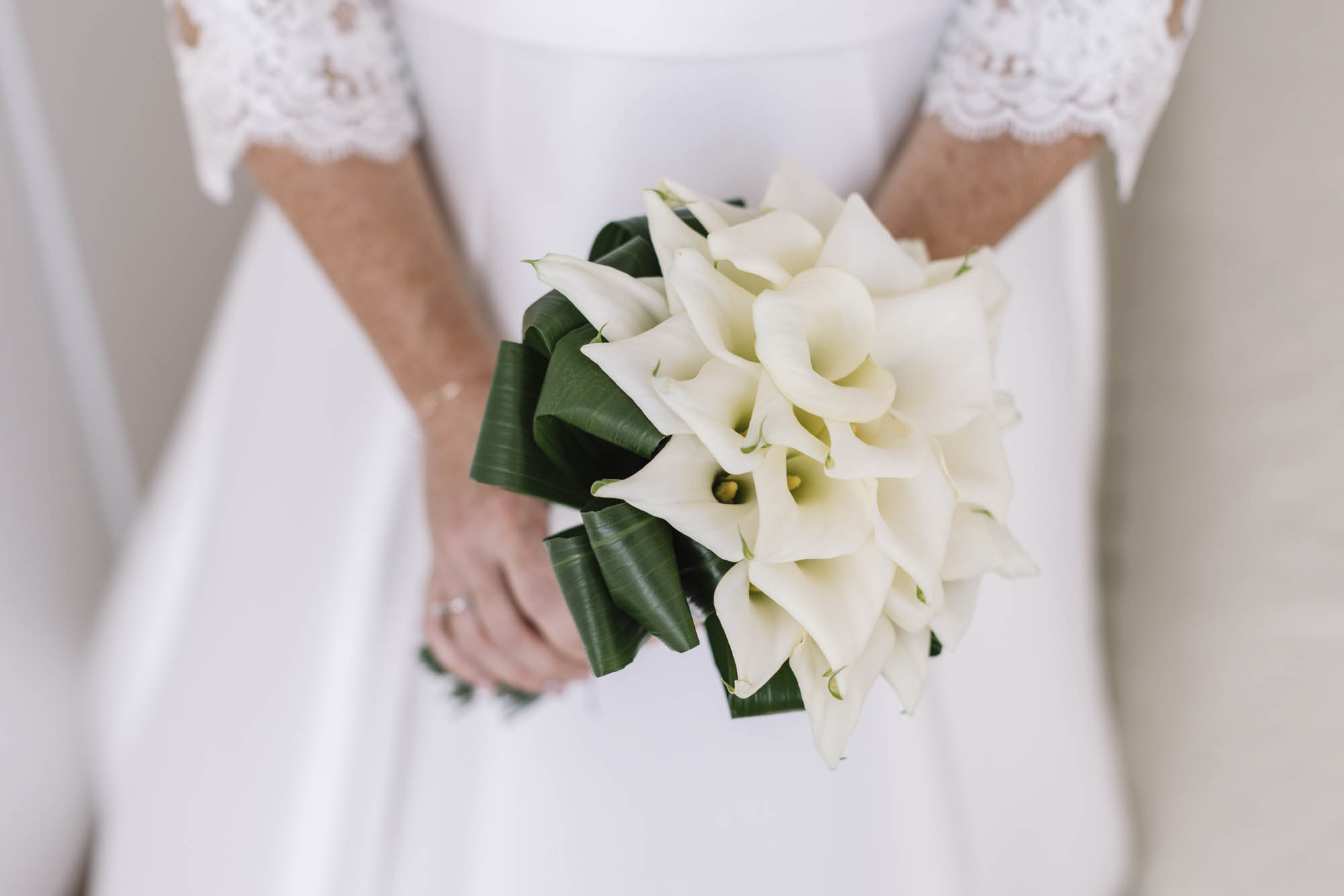 Foto  Trebaseleghe Villa Braida Giorgia e Christian