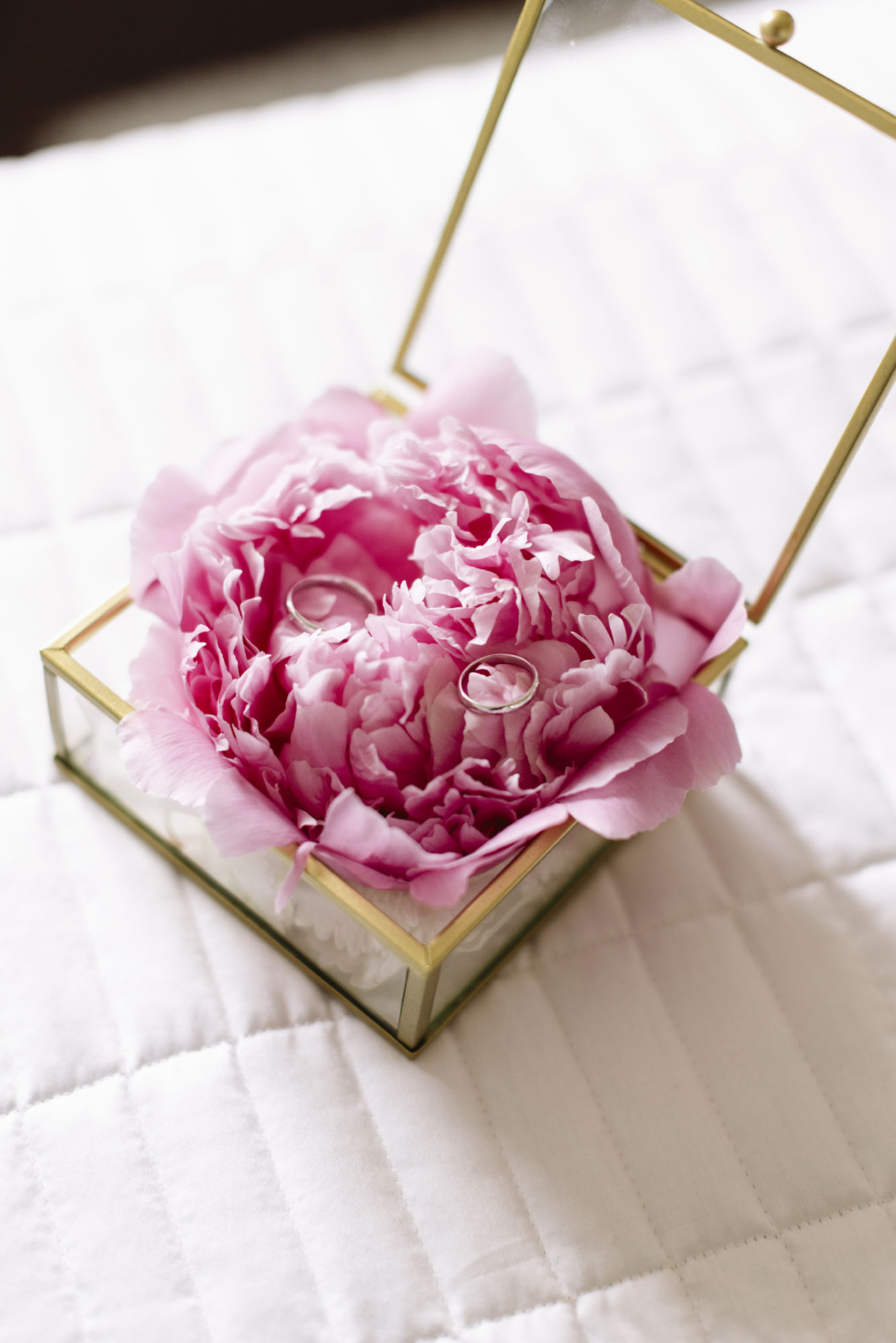 Foto  Cison di Valmarino CastelBrando Eliana e Fabio