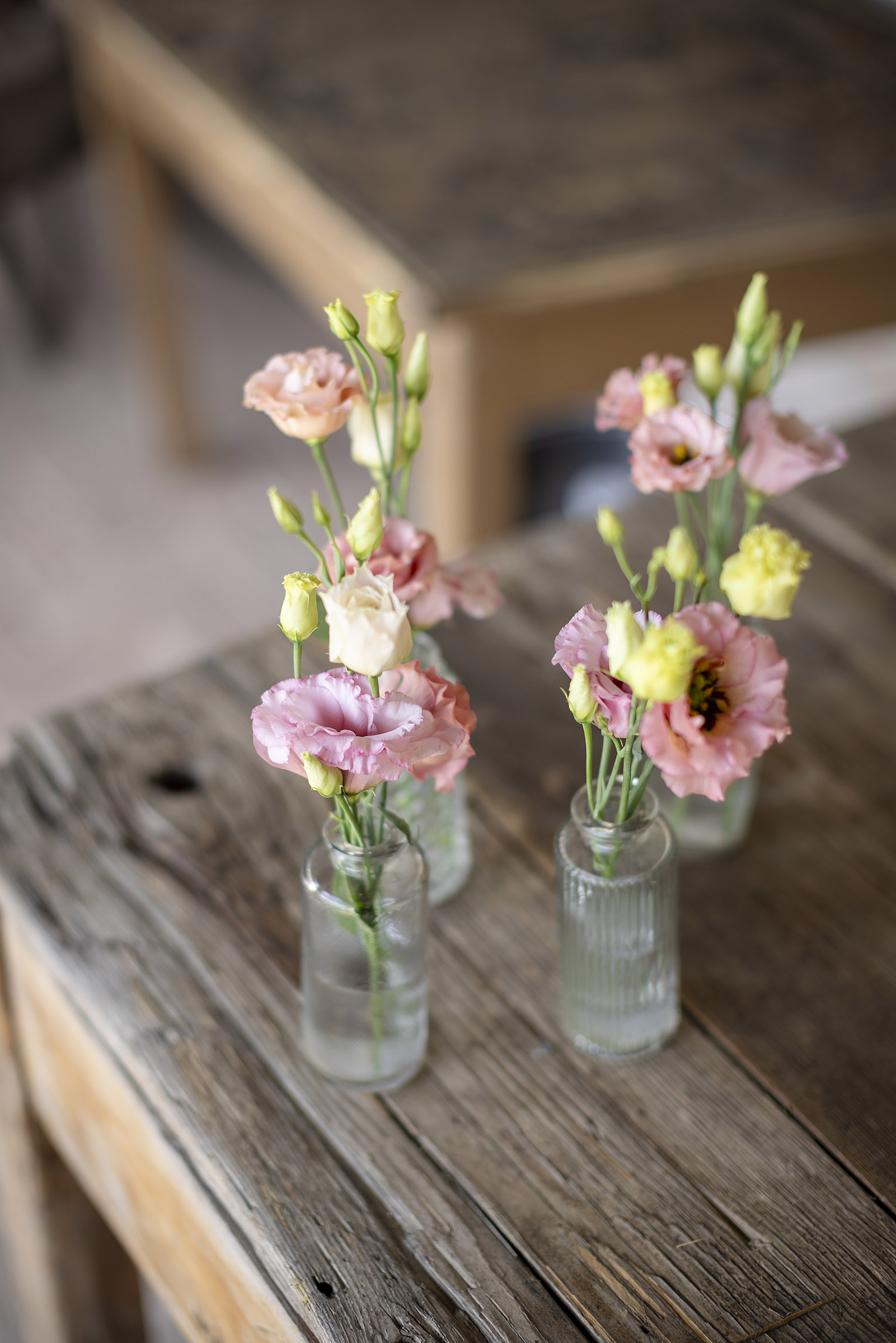 Foto  Campo San Martino PD Tenuta Le Risare Alessia e Omar