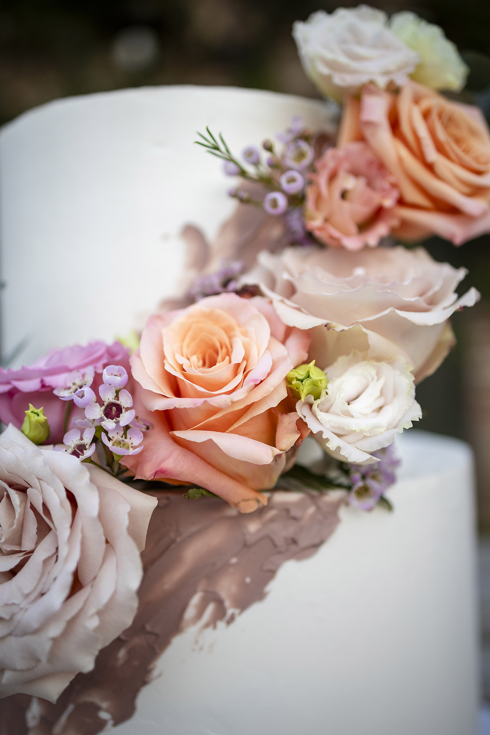 Foto  Campo San Martino PD Tenuta Le Risare Alessia e Omar