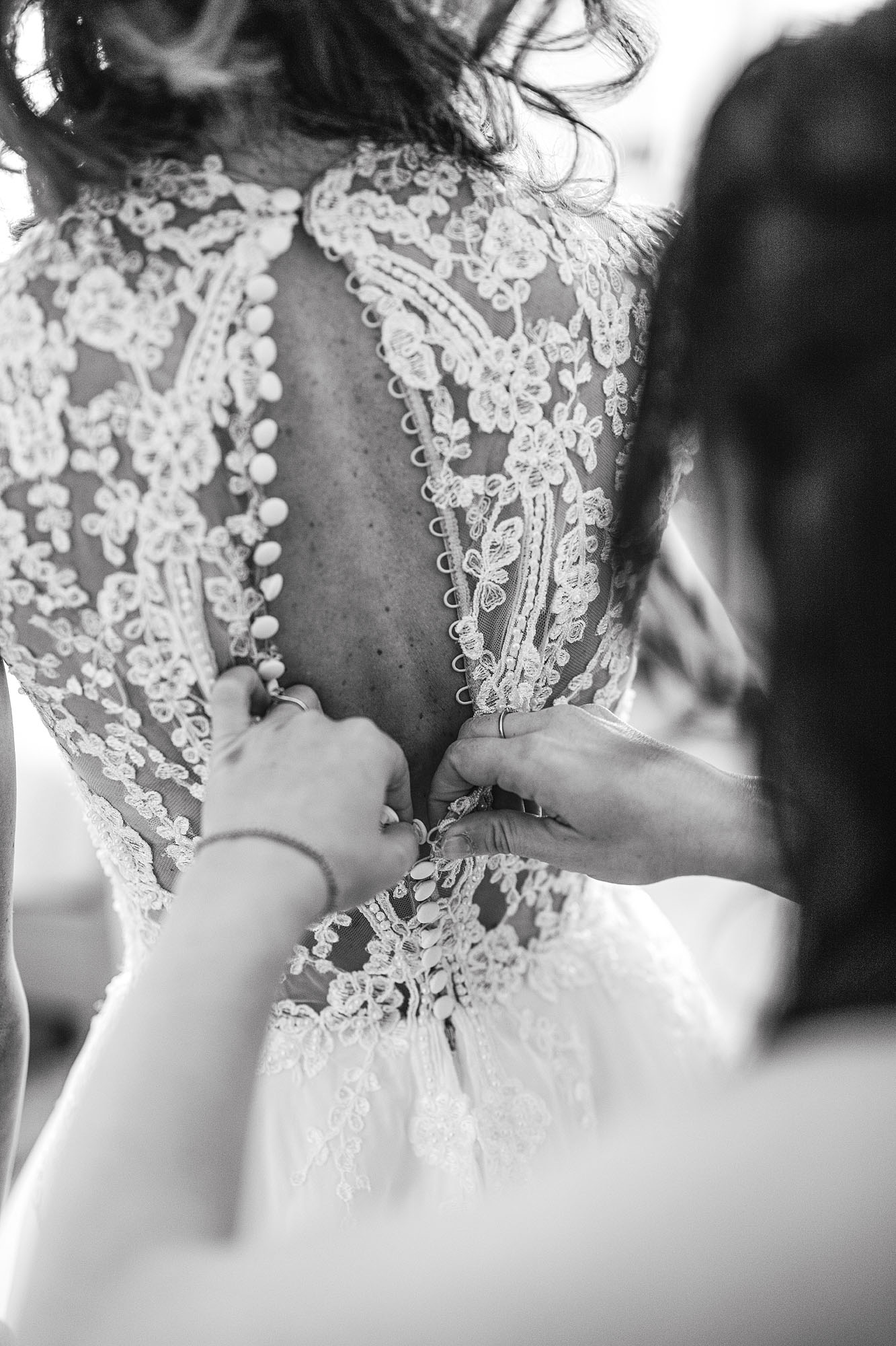 Foto  San Vito di Altivole Agriturismo Bosco del Falco sul Montello Francesca e Tommaso