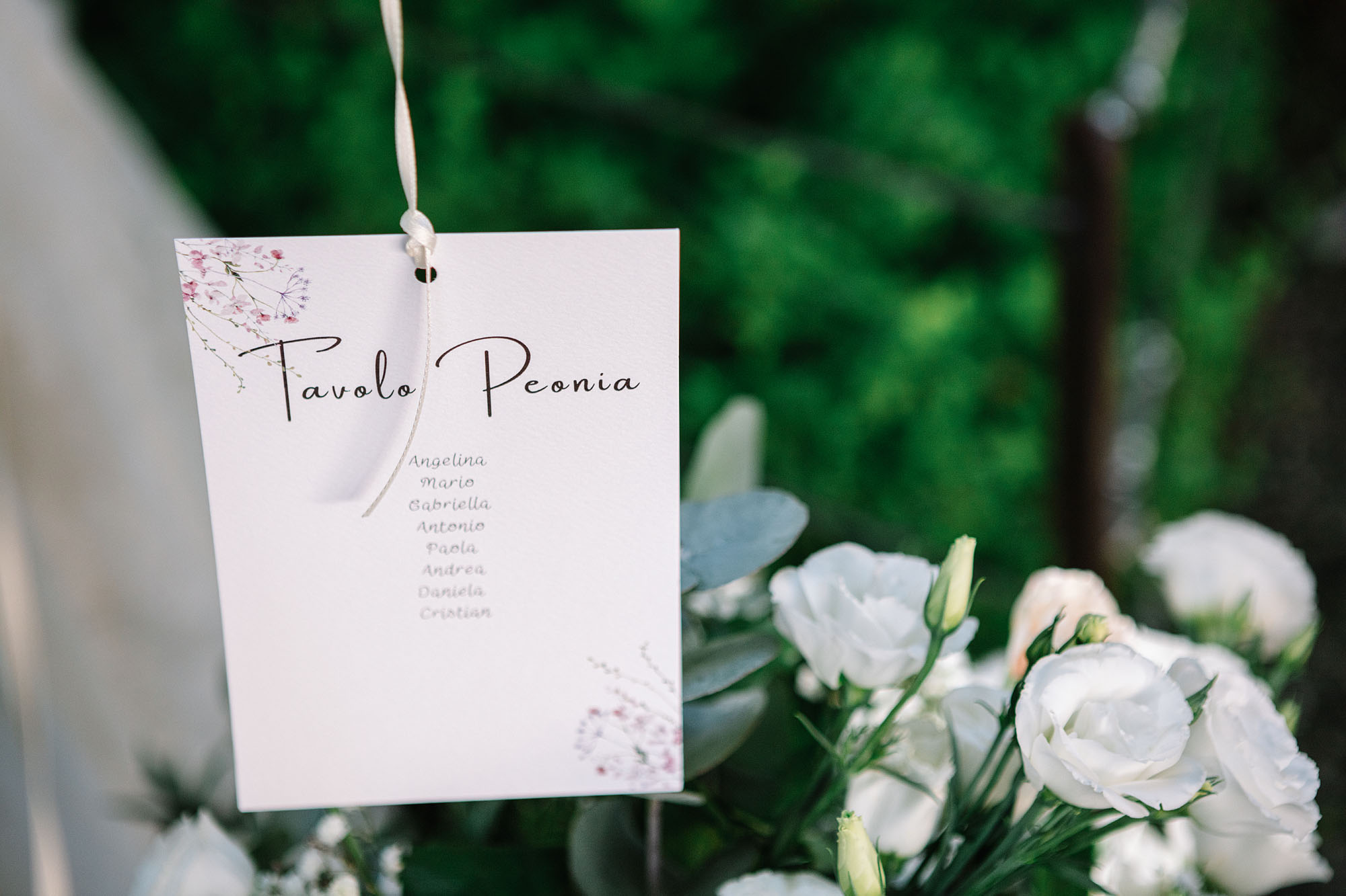 Foto  San Vito di Altivole Agriturismo Bosco del Falco sul Montello Francesca e Tommaso