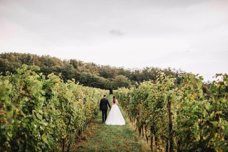 Foto Sant'Ambrogio di Trebaseleghe Casa Gobbato Veronica e Luca